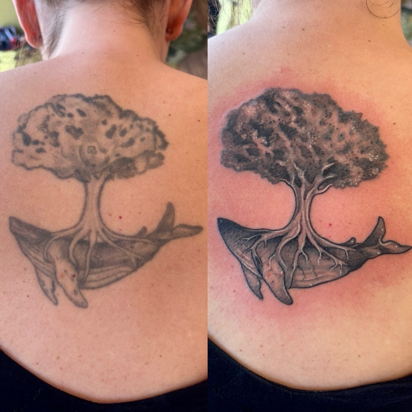 Tree and whale black and grey tattoo on the back by Cricket Elijah Cervidae