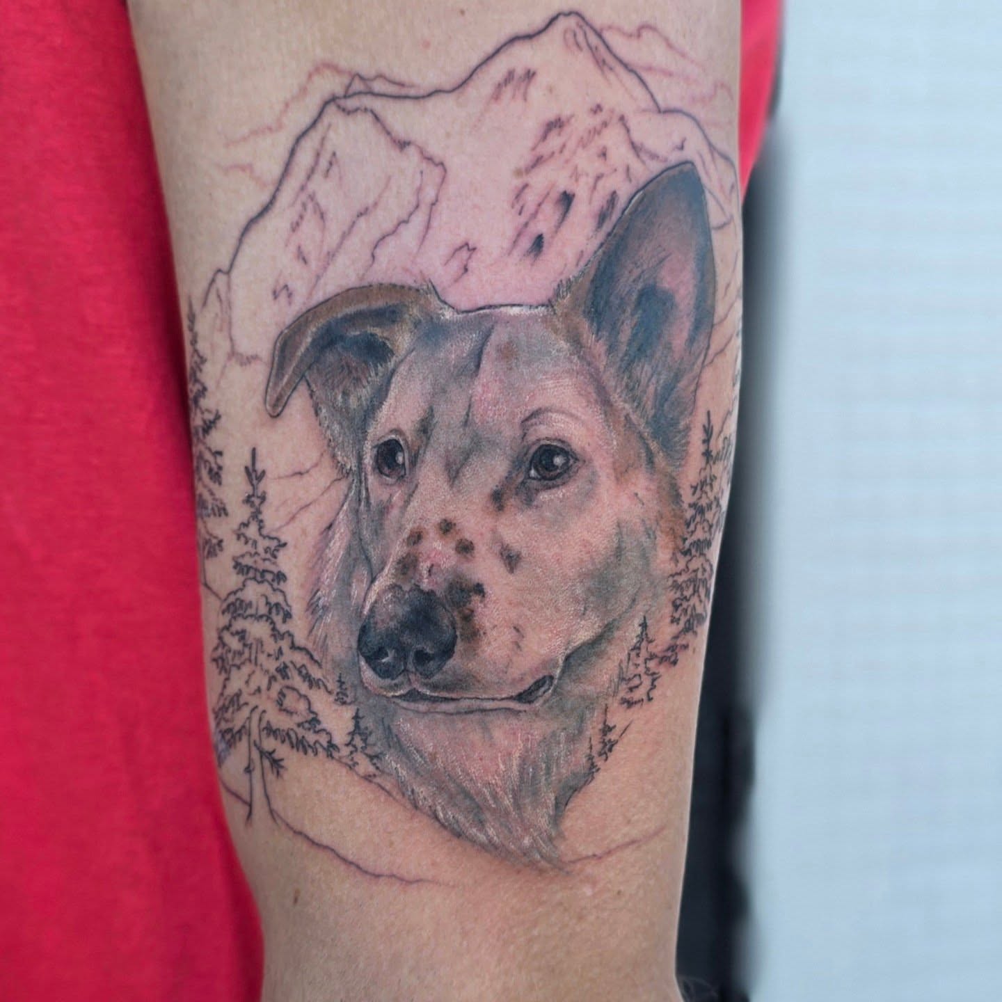 Tattoo by @girlroni — realism