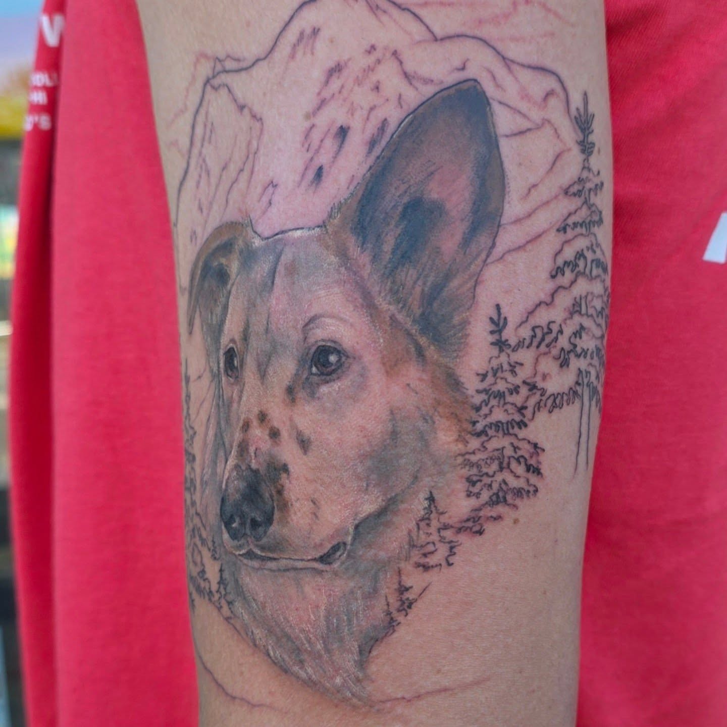 Tattoo by @girlroni — realism