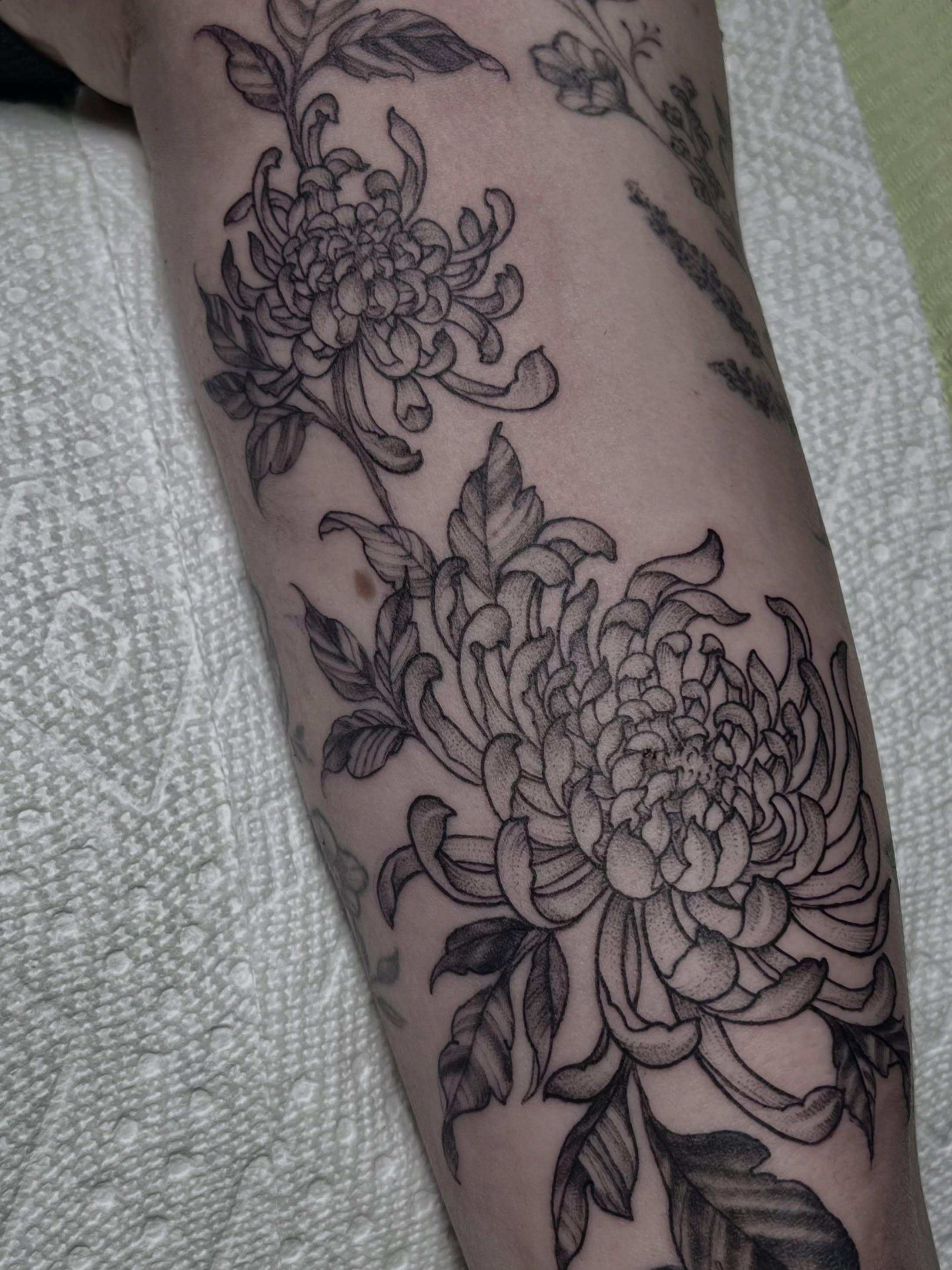Tattoo by @woodrowtattoo — black_and_grey