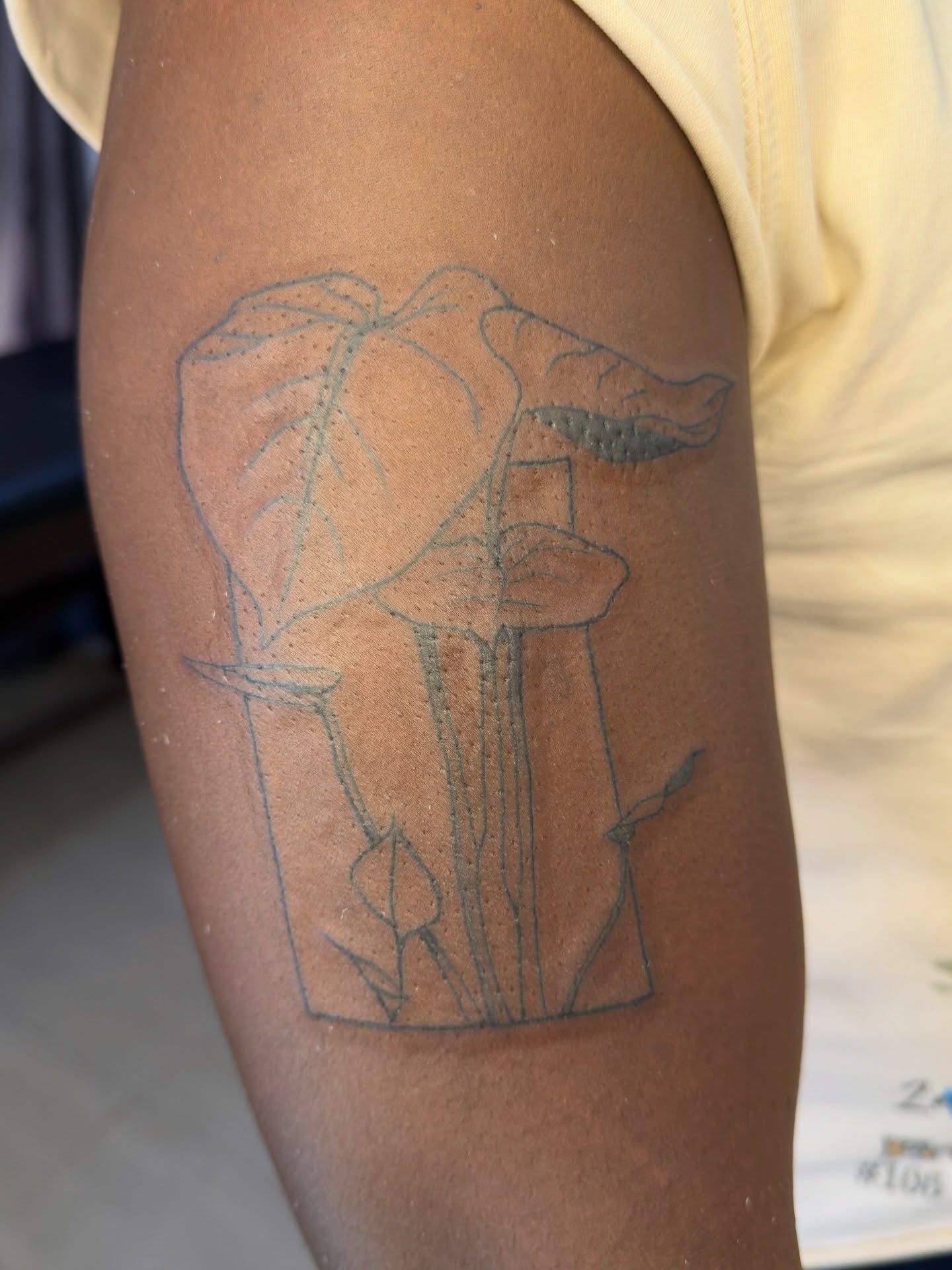 Monstera leaf black and grey tattoo on the forearm by David Yancy III