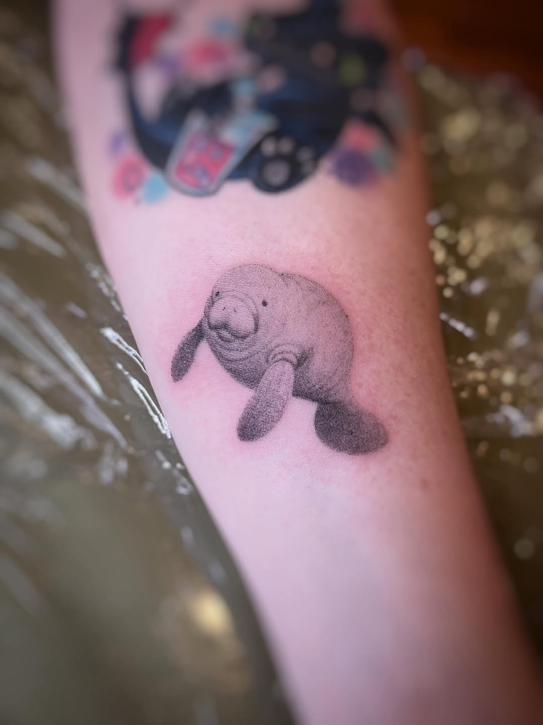 Manatee fine line tattoo on the forearm by Risa Cincinnati Tattoo Artist