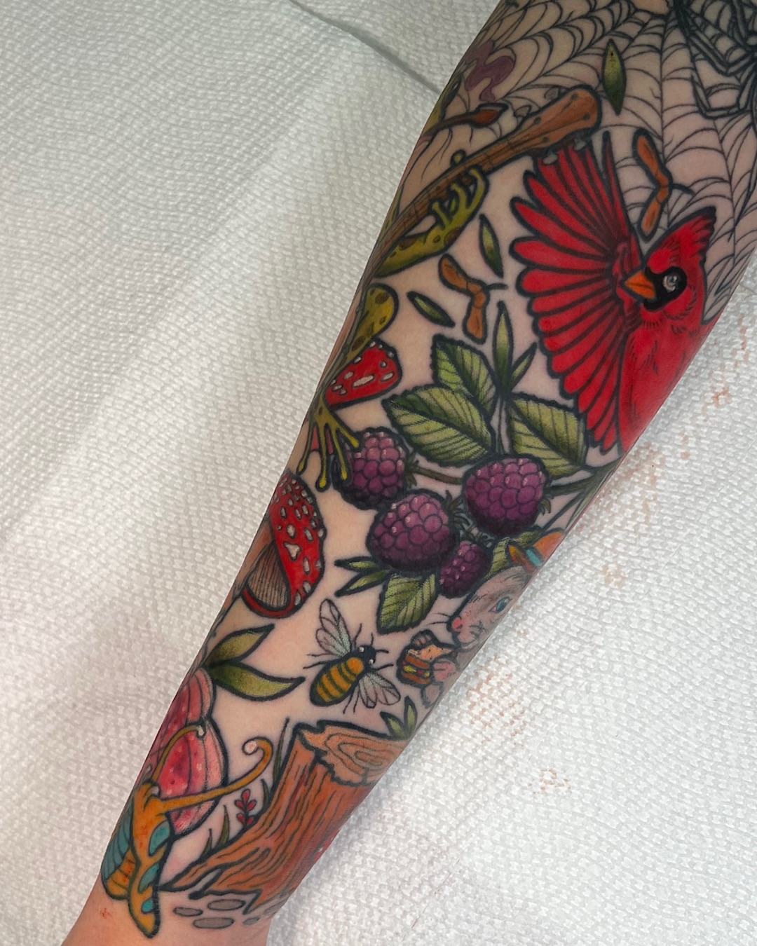 Bird and berries American traditional tattoo on the forearm by @shannonkeeleyy