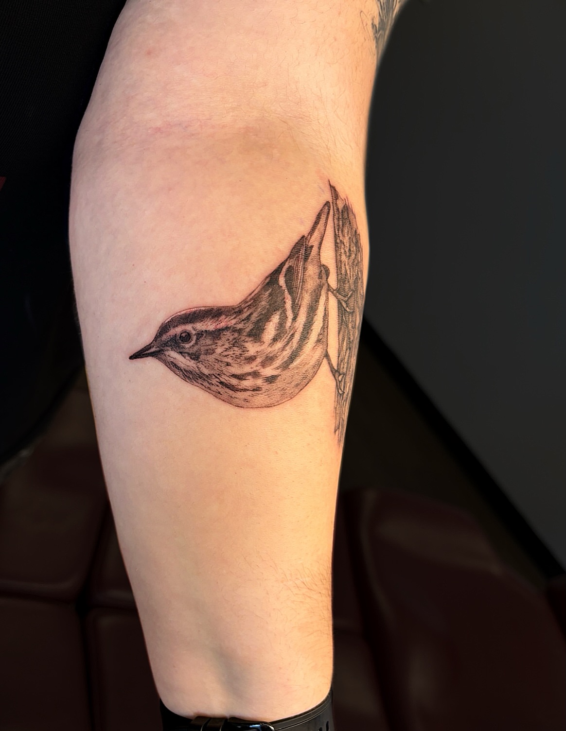 Tattoo by @mckinley.tattoos — black_and_grey