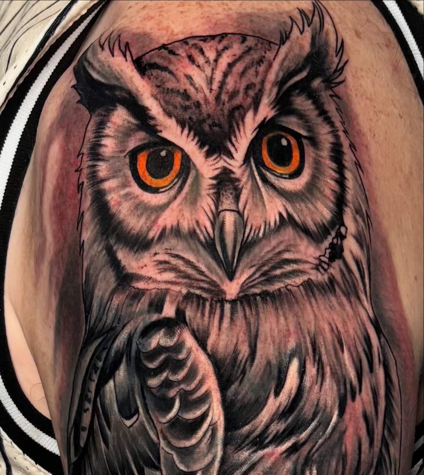 Owl realism tattoo on the shoulder by Dave