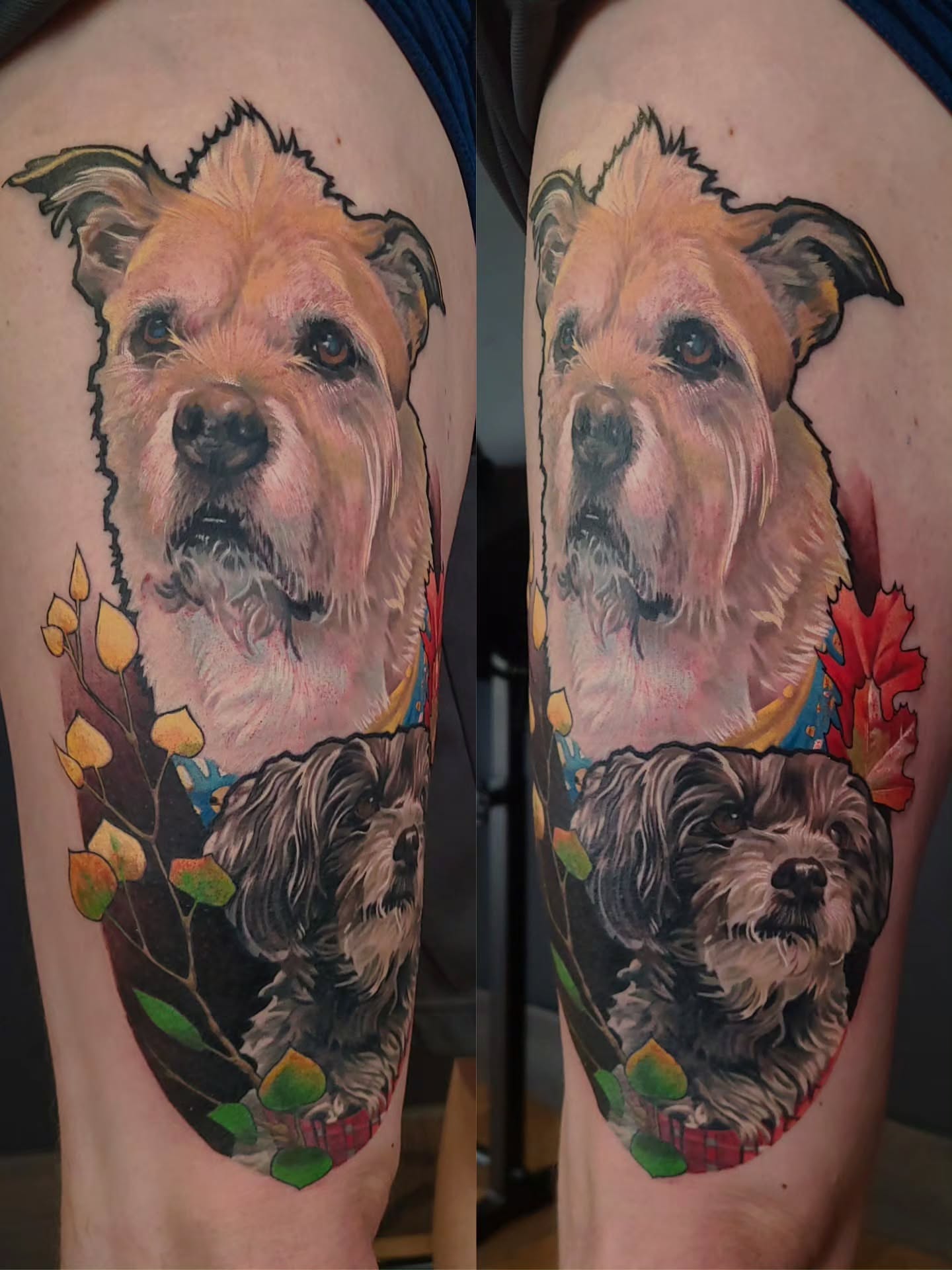 Dog portrait realism tattoo on the forearm by Preston