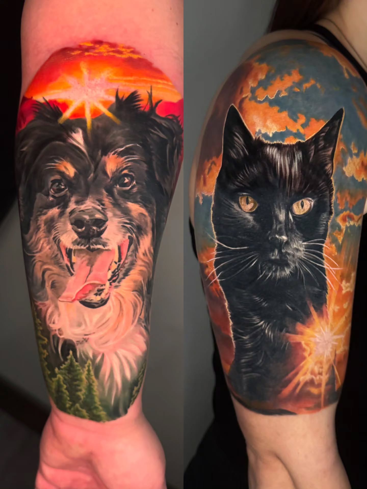 Dog and cat portraits realism tattoo on the forearm by Preston