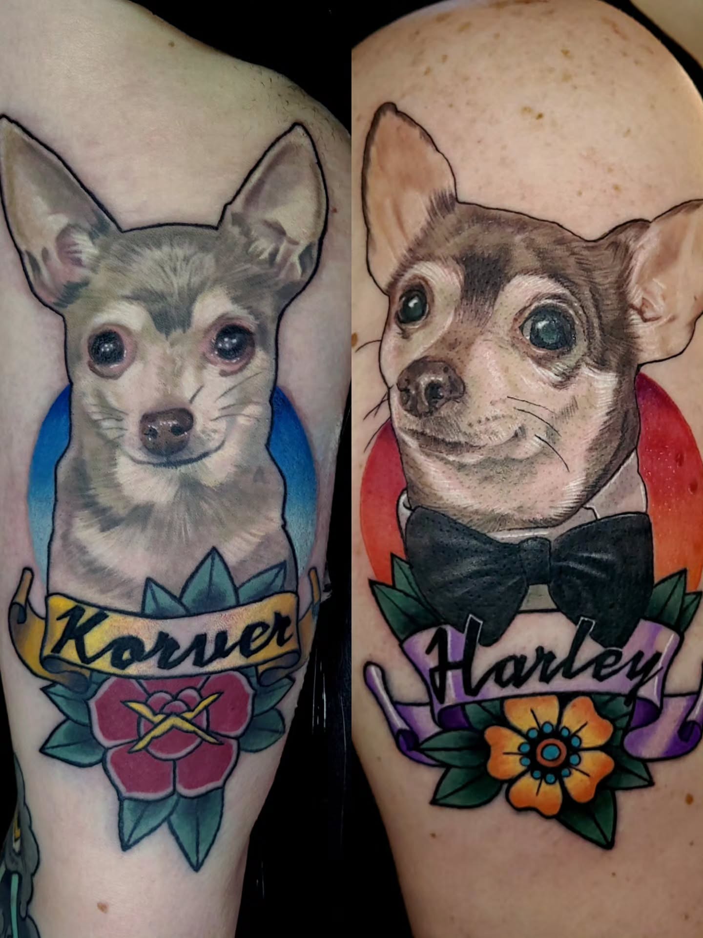 Dog portraits American traditional tattoo on the upper arm by Preston