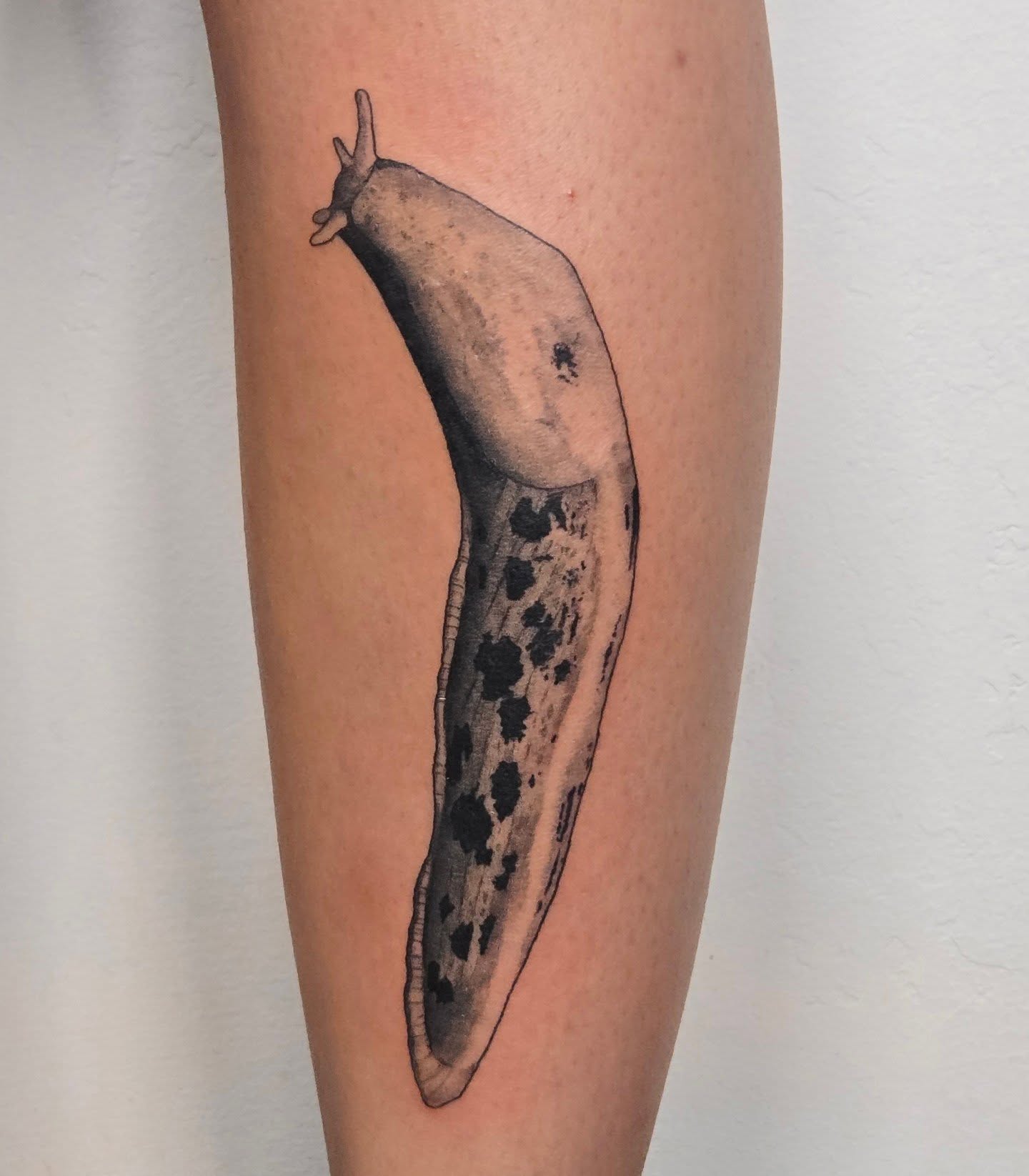 Slug realism tattoo on the forearm by alec