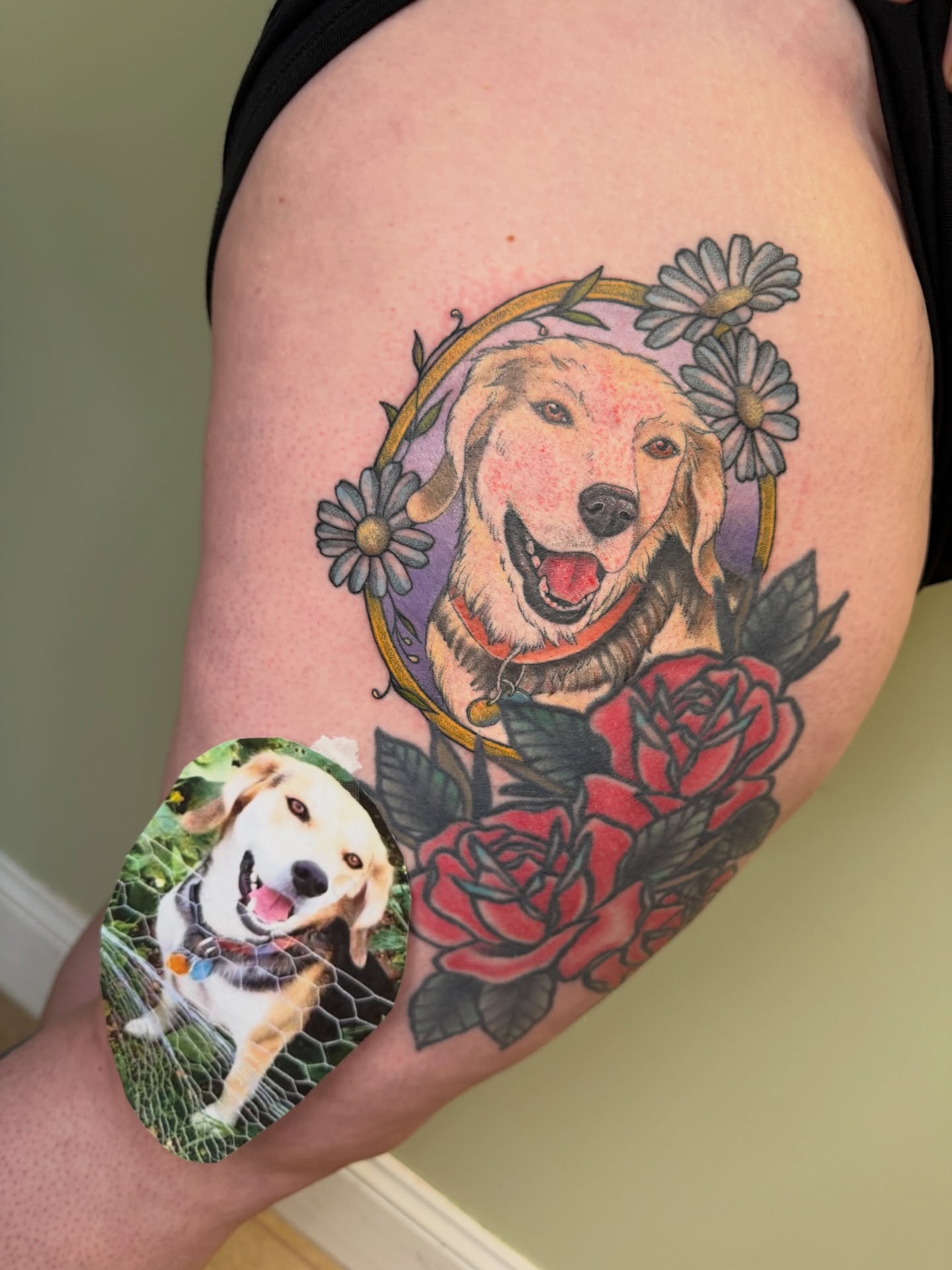 Dog portrait realism tattoo on the thigh by Koryn Donnelly