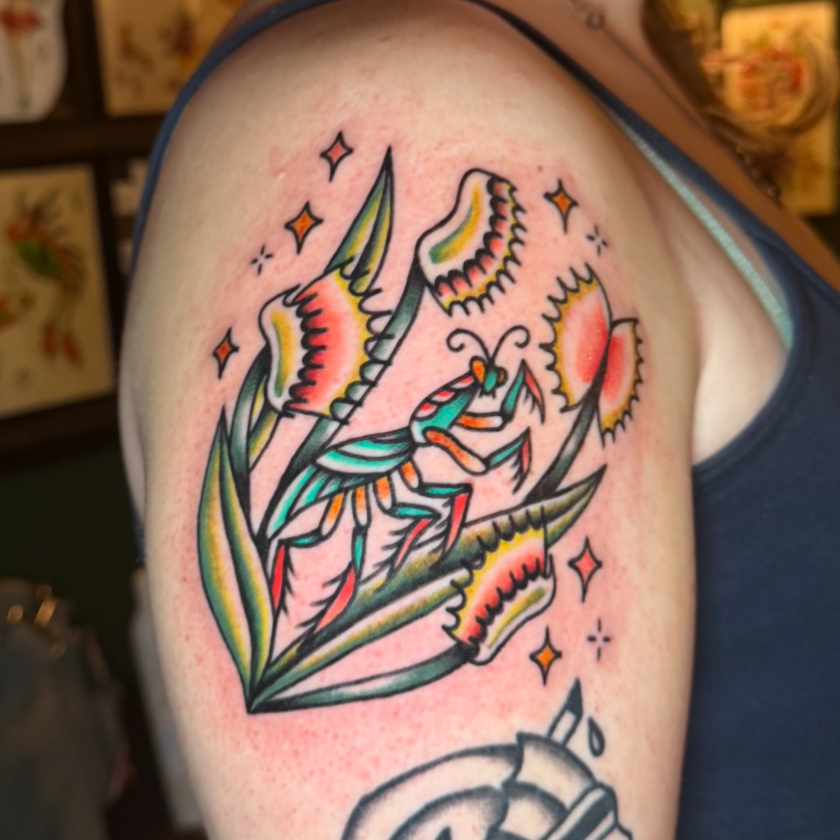 Praying mantis American traditional tattoo on the shoulder by abbey pickens 🧚 cleveland ohio