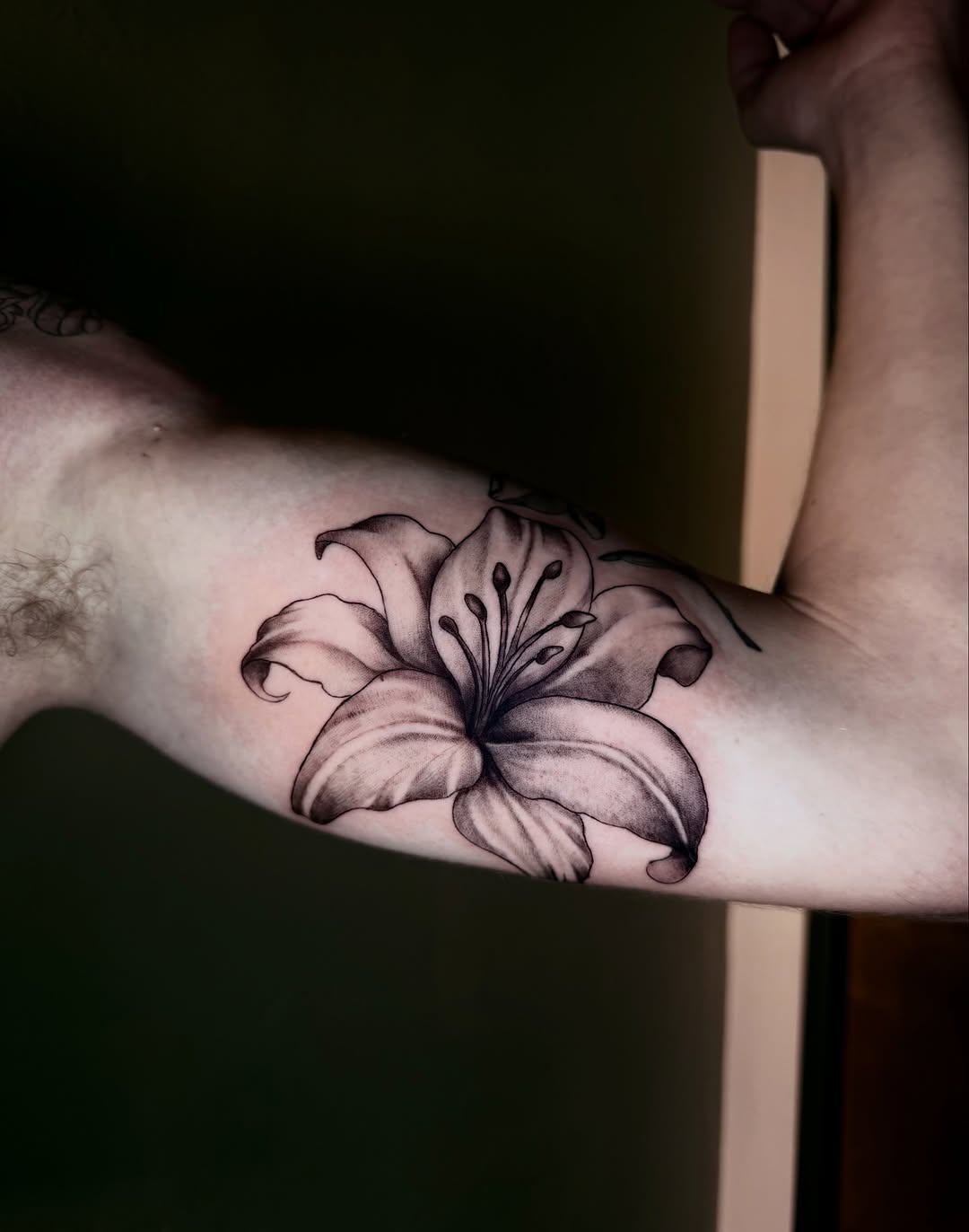 Lily flower fine line tattoo on the forearm by jayla pantig