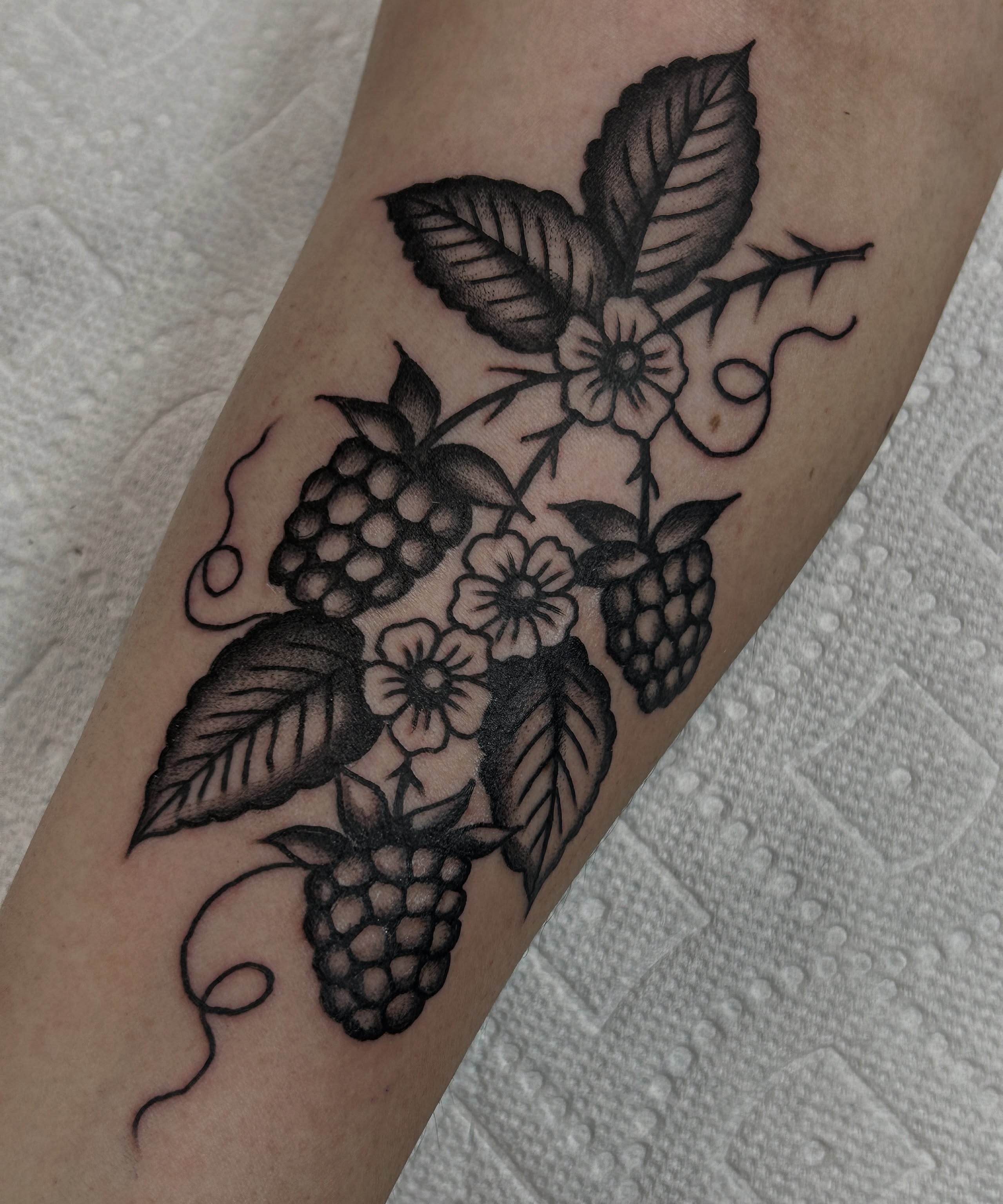 Raspberry vine black and grey tattoo on the forearm by holly danesi . philadelphia tattoo, Philadelphia, Pennsylvania