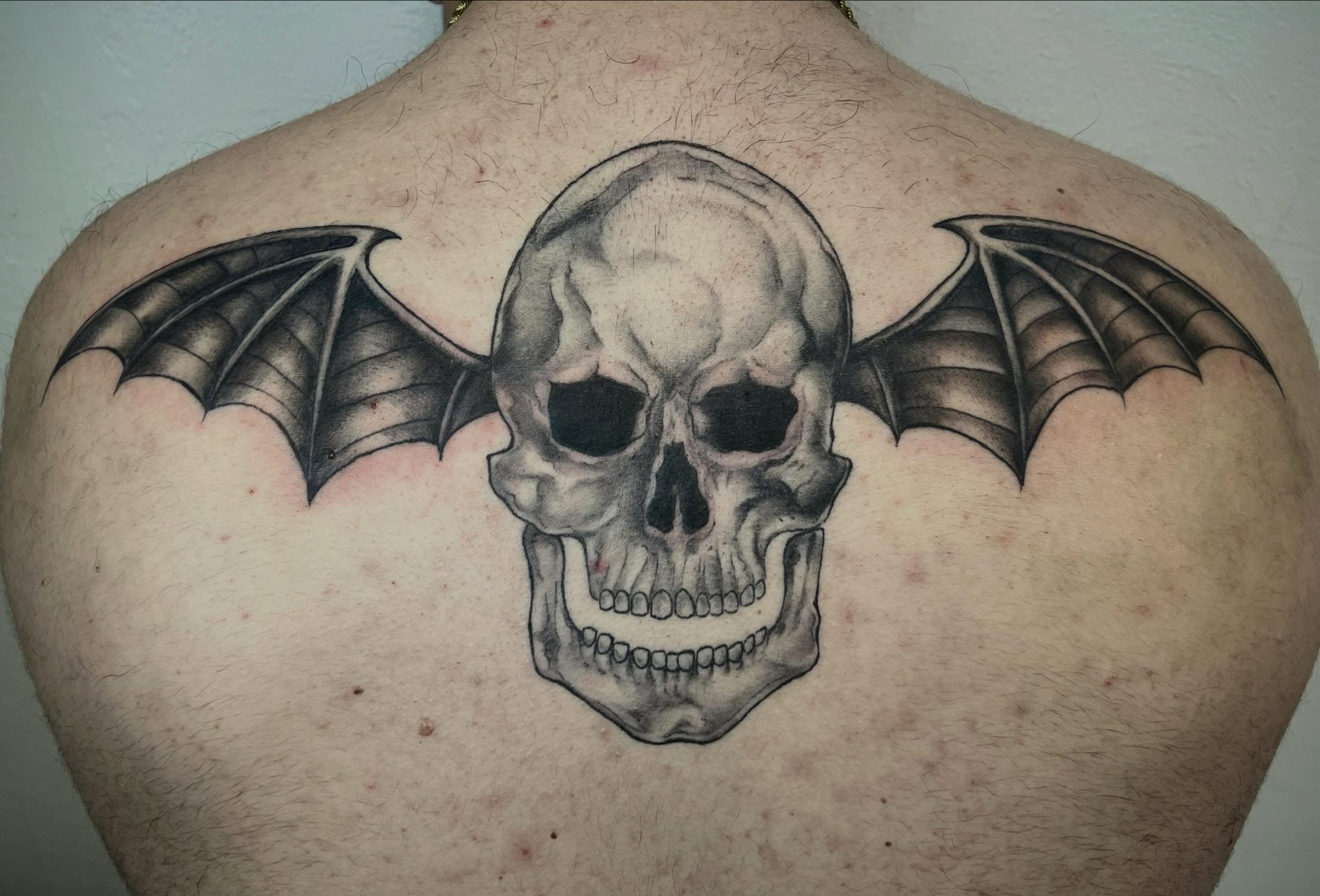 Skull with wings realism tattoo on the back by Amber Rose