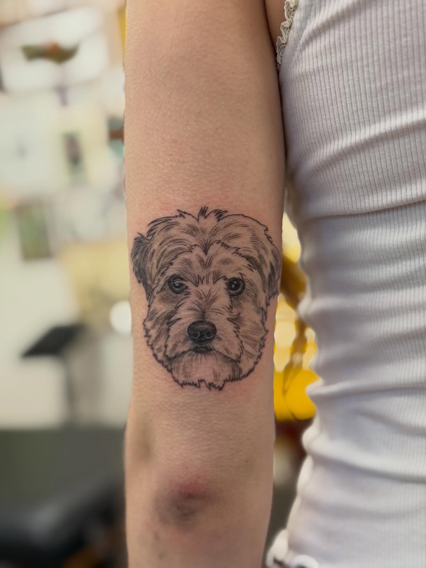 Dog realism tattoo on the forearm by Alison (Wise) Best