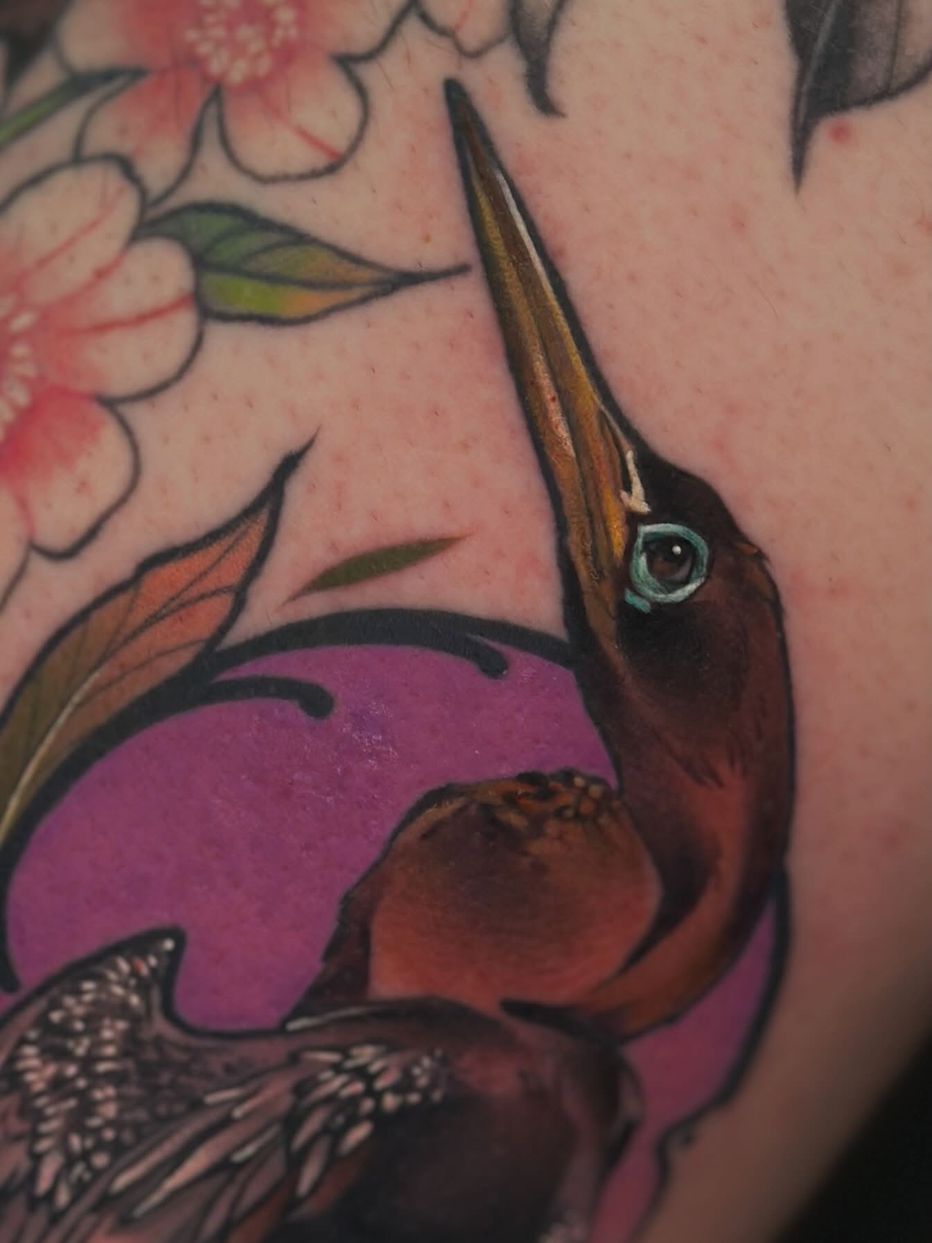 Bird American traditional tattoo on the upper arm by Mattison Fire 🔥Tallahassee Tattoo Artist