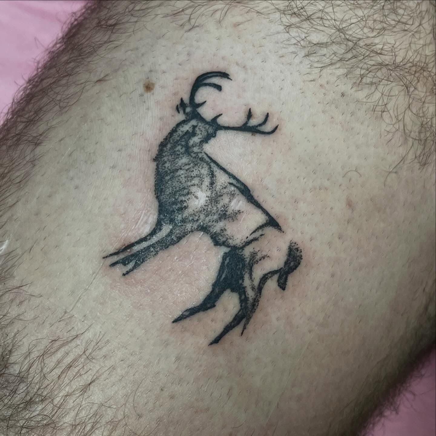 Stag black and grey tattoo on the thigh by ⁎⁺˳✧༚Emma