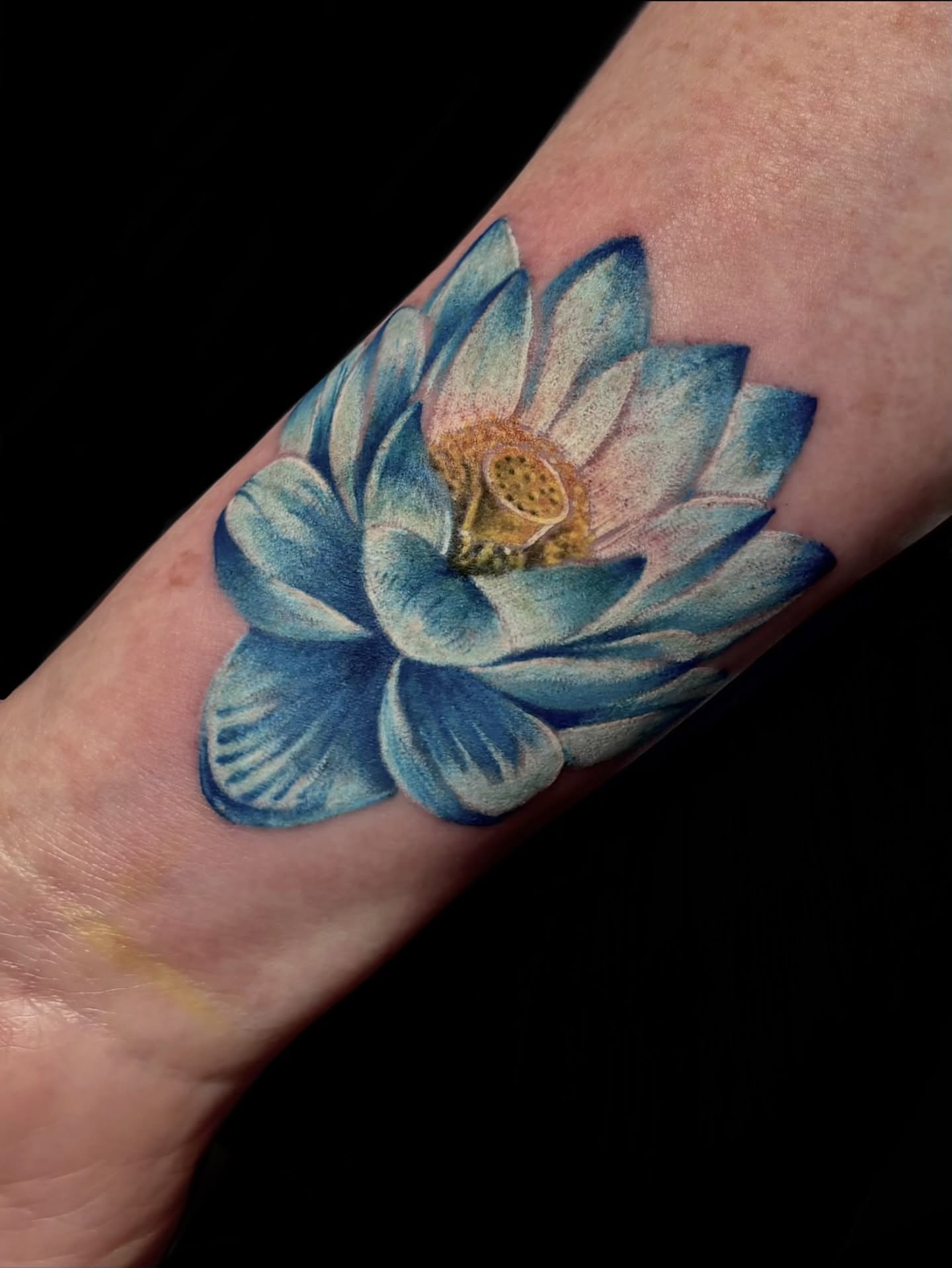 Tattoo by @katscratchtattooss — watercolor