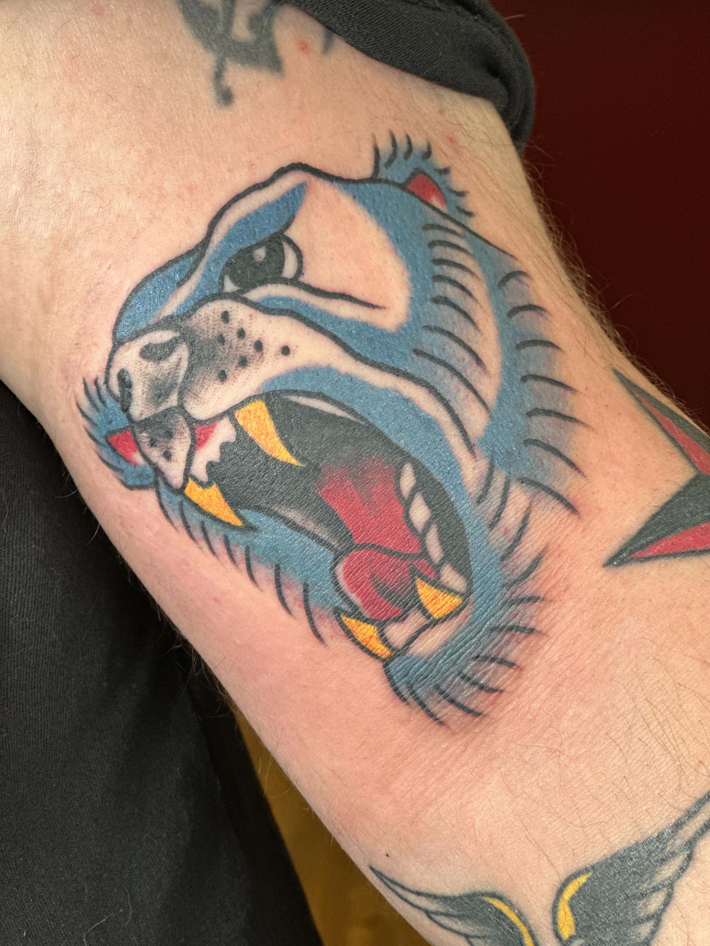 Bulldog American traditional tattoo on the forearm by Colbylee Tattoo Norwich