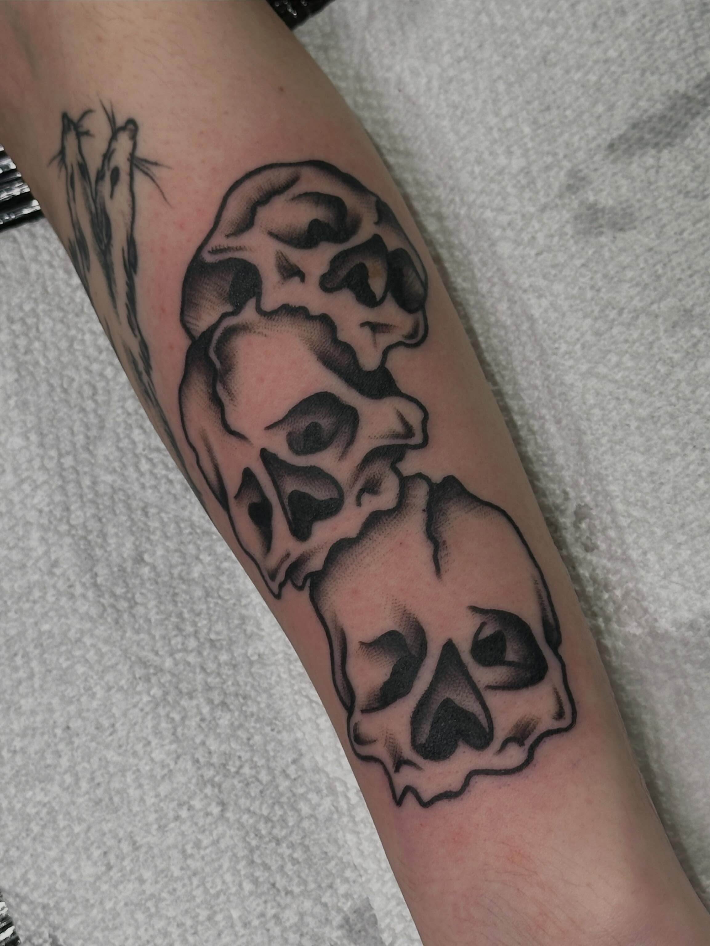 Skulls black and grey tattoo on the forearm by Colbylee Tattoo Norwich