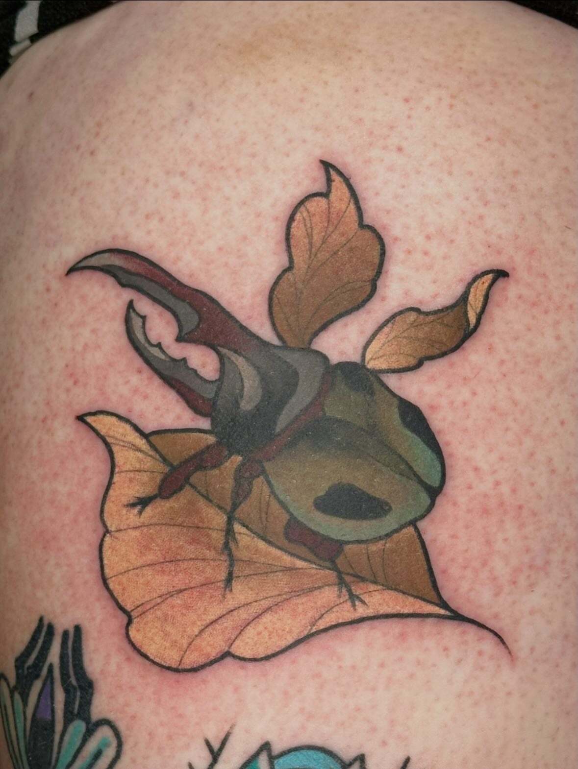 Stag beetle realism tattoo on the shoulder by Colbylee Tattoo Norwich