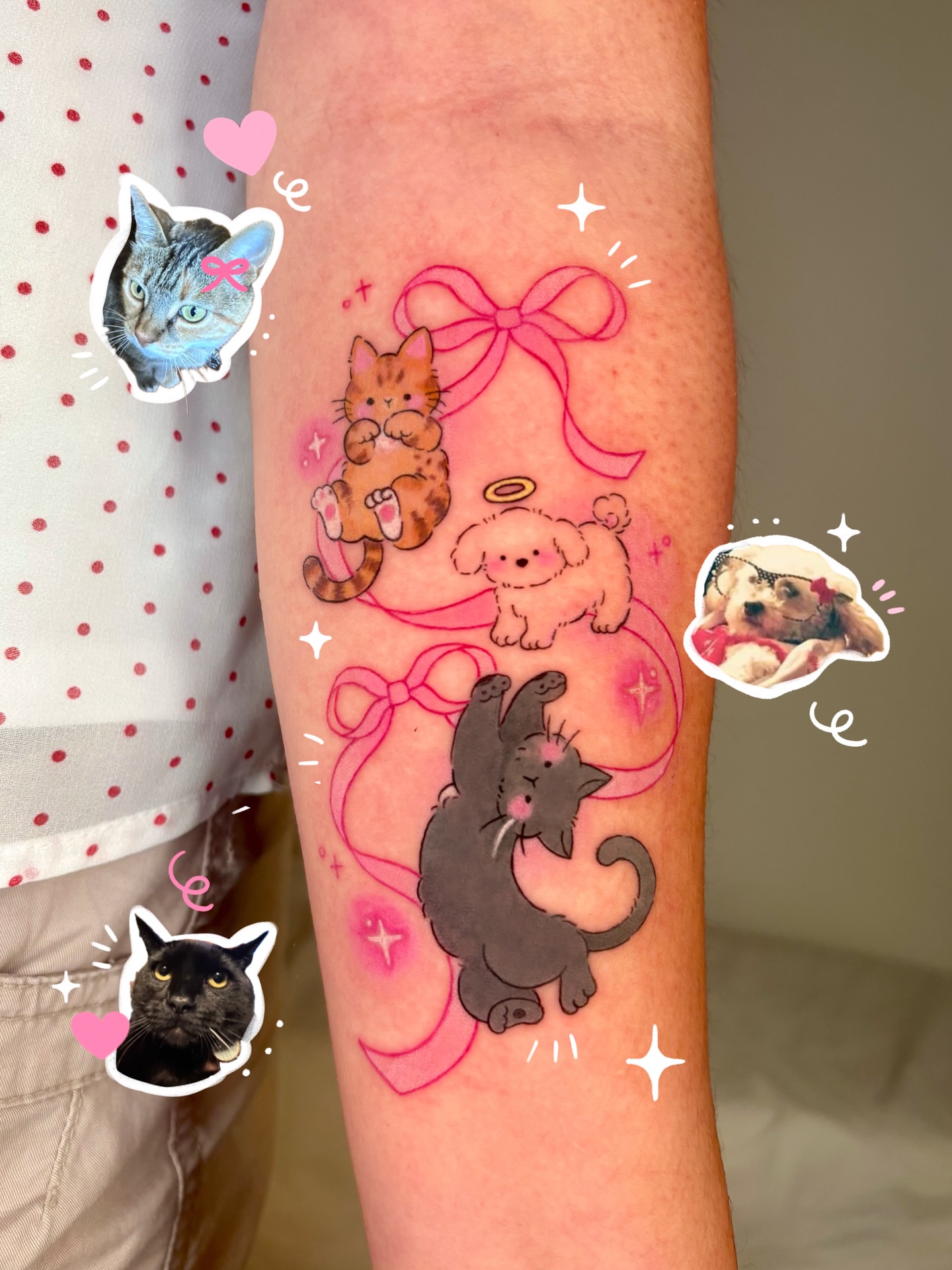 Cats and dogs illustrative tattoo on the forearm by ๐ฎ๐ถ๐ ๐ โงโห โโ.