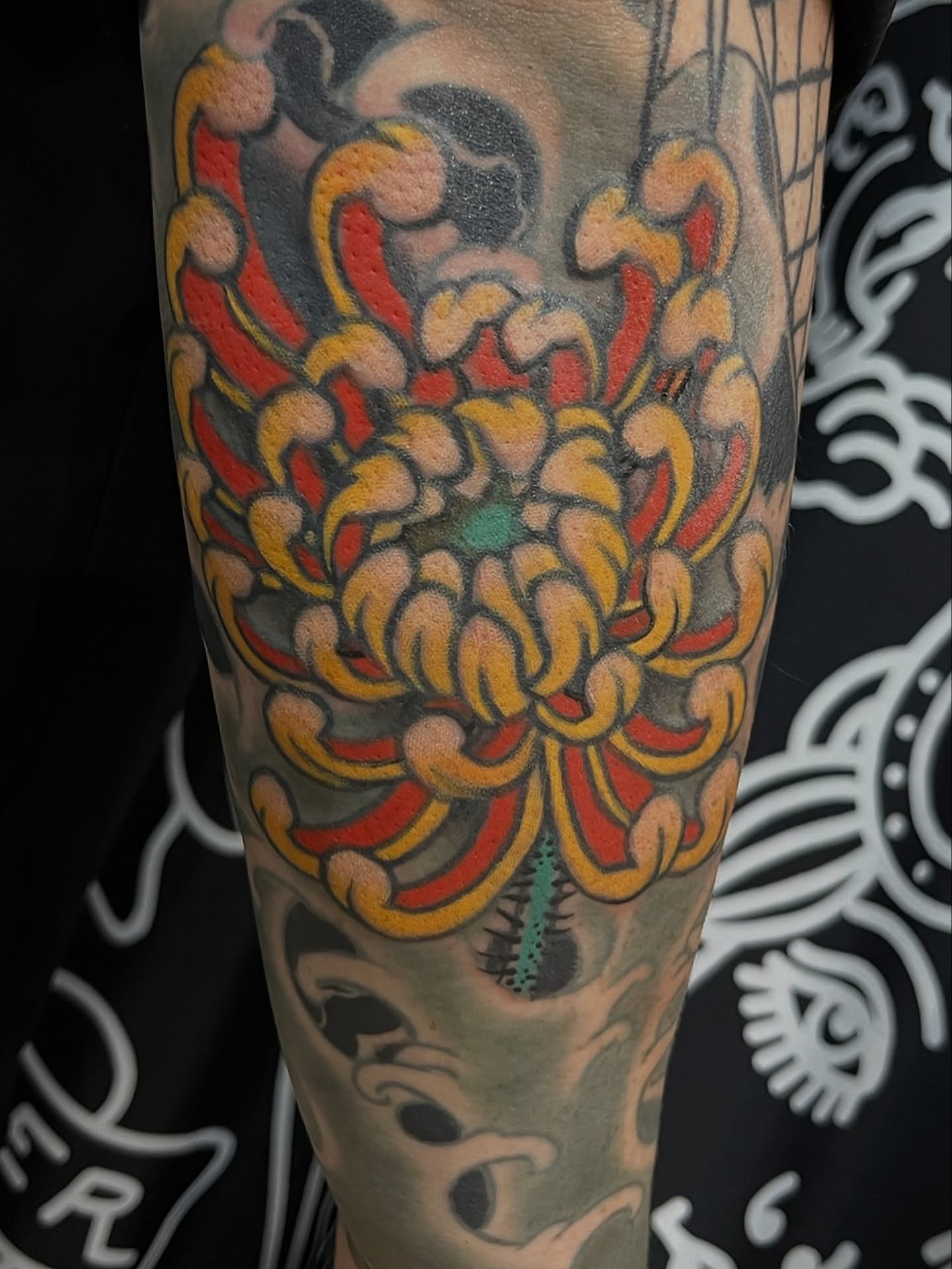 Chrysanthemum American traditional tattoo on the forearm by Andrew Snowden