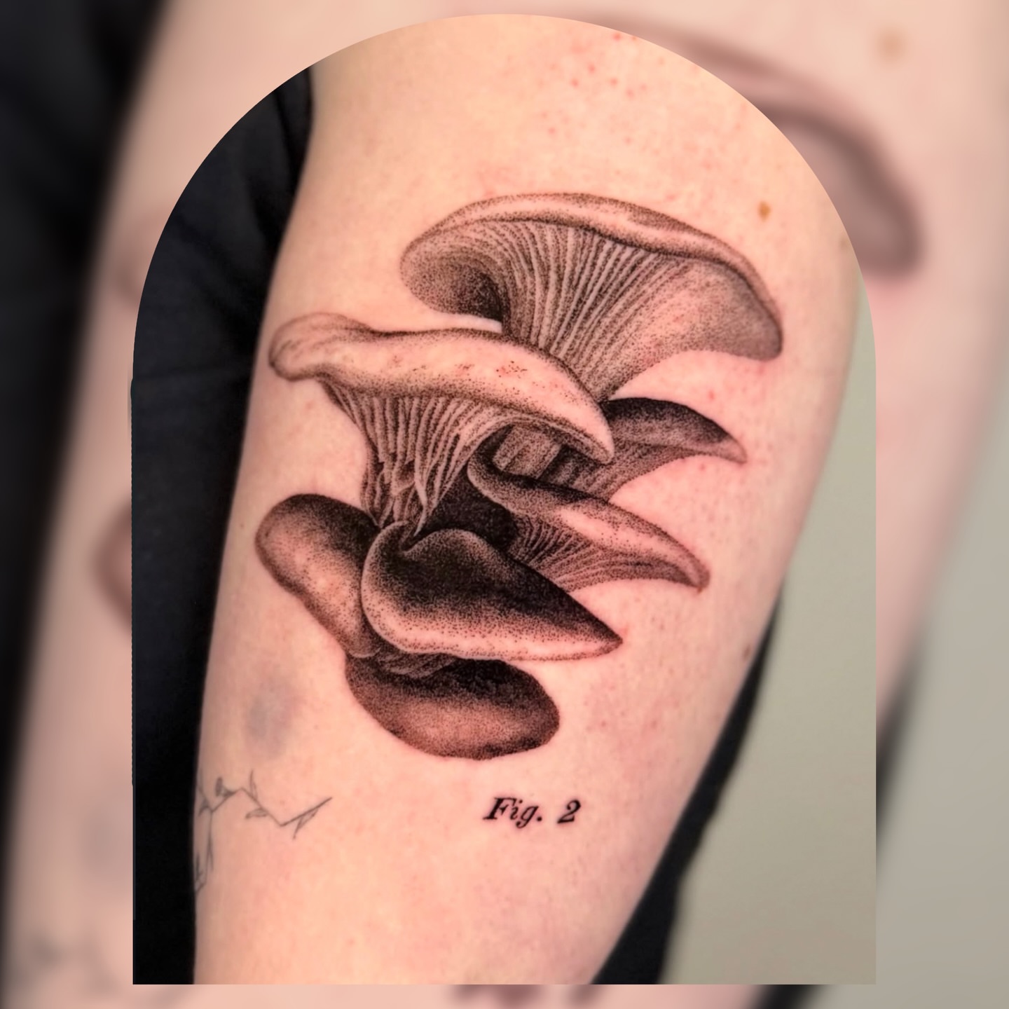 Tattoo by @redrooktattoo — black_and_grey