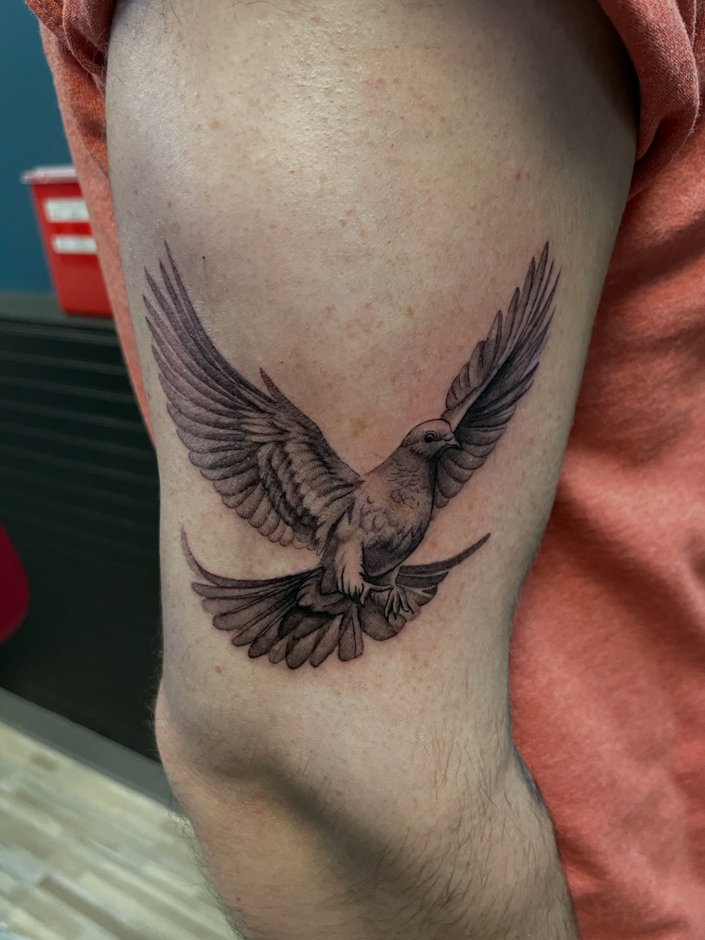 Bird realism tattoo on the forearm by Zachary Hayden