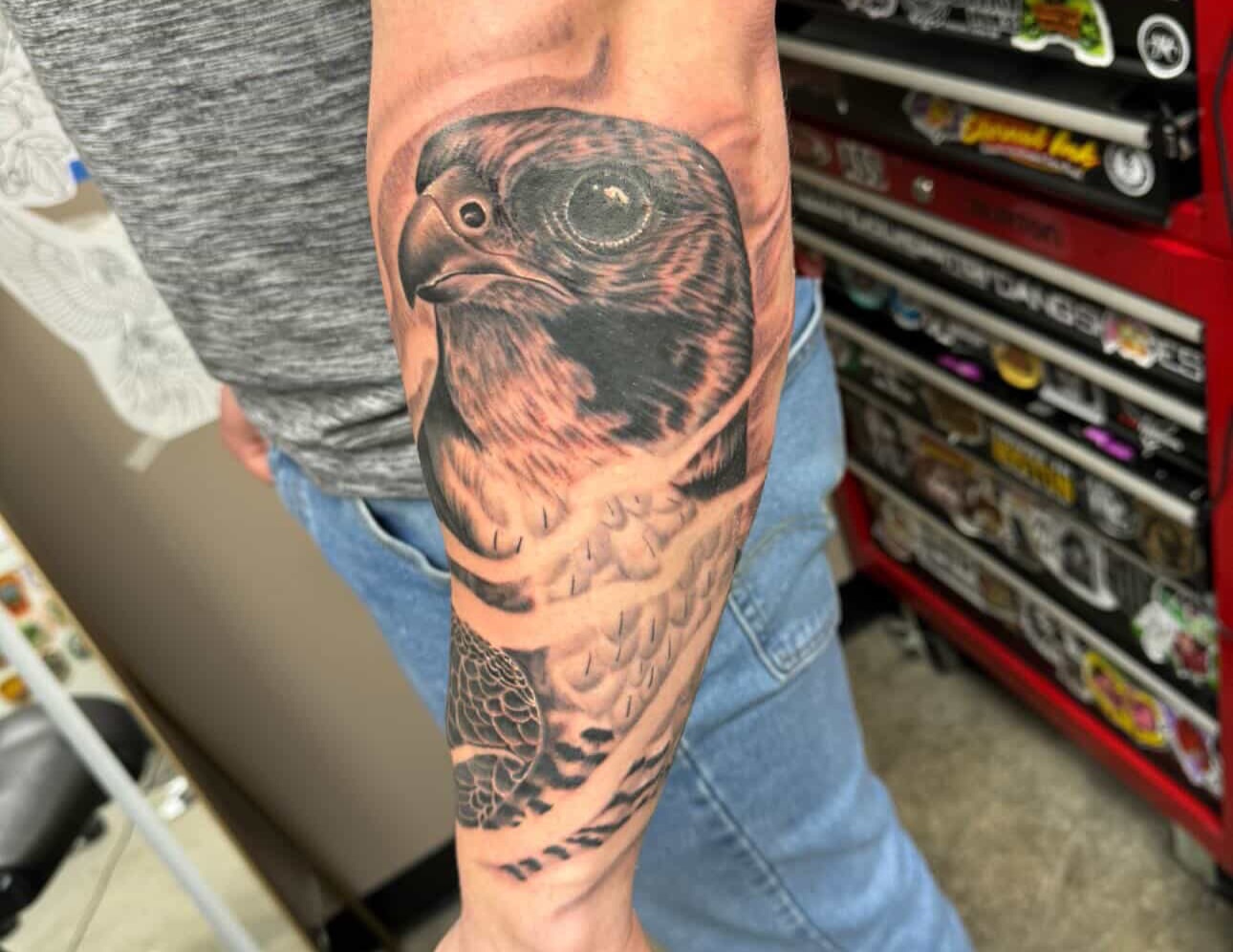 Hawk realism tattoo on the forearm by Derek Cilla, Bethlehem, Pennsylvania