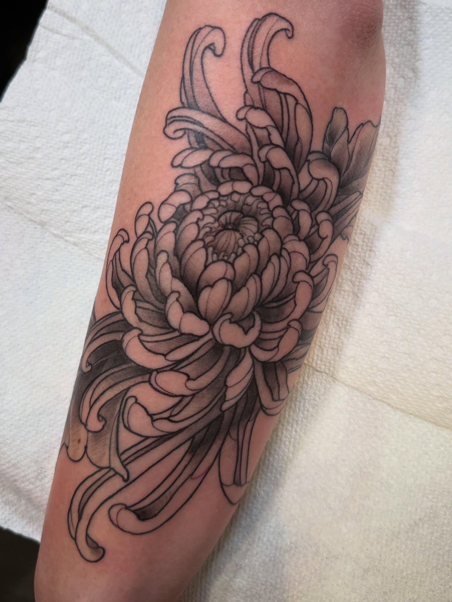 Tattoo by @tattoosbydingle — black_and_grey