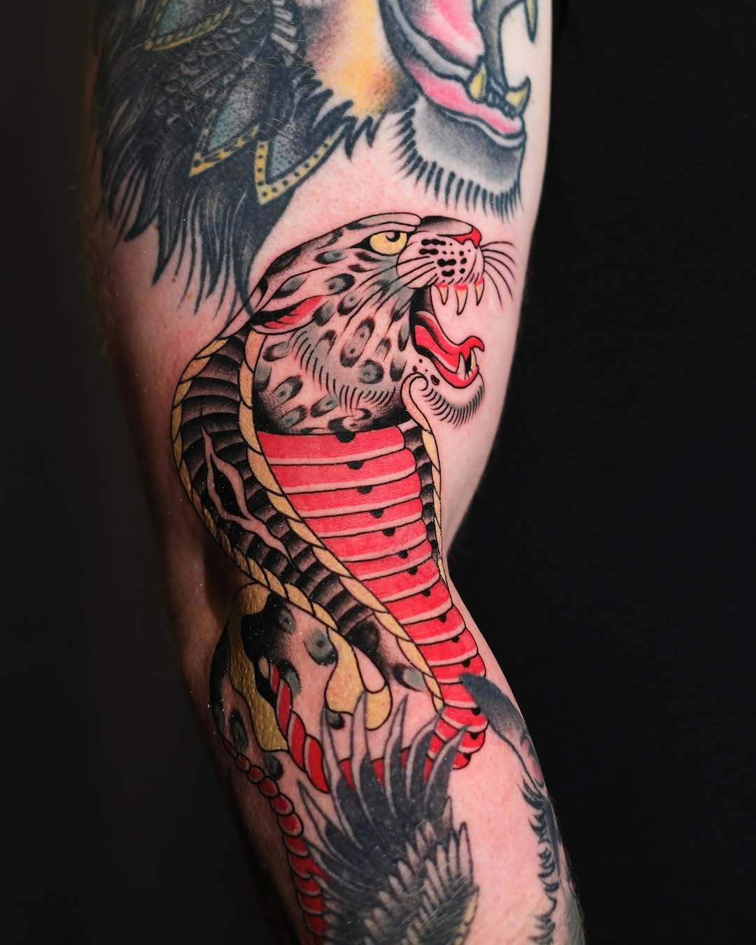 Snake and leopard American traditional tattoo on the forearm by Danny Pando