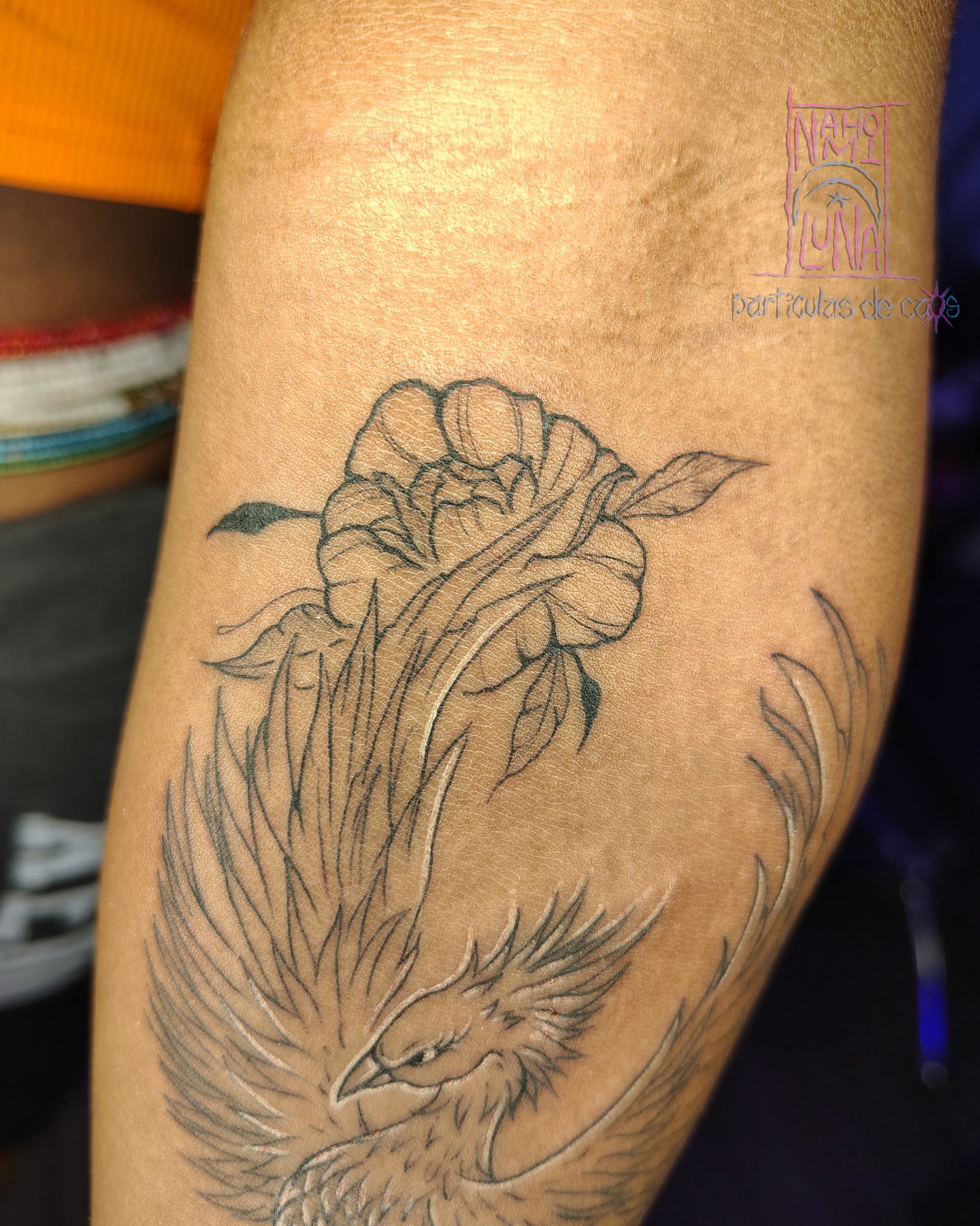 Phoenix and rose black and grey tattoo on the forearm by Nahomi Luna - Memphis & Cordova Tattoo, Memphis, Tennessee