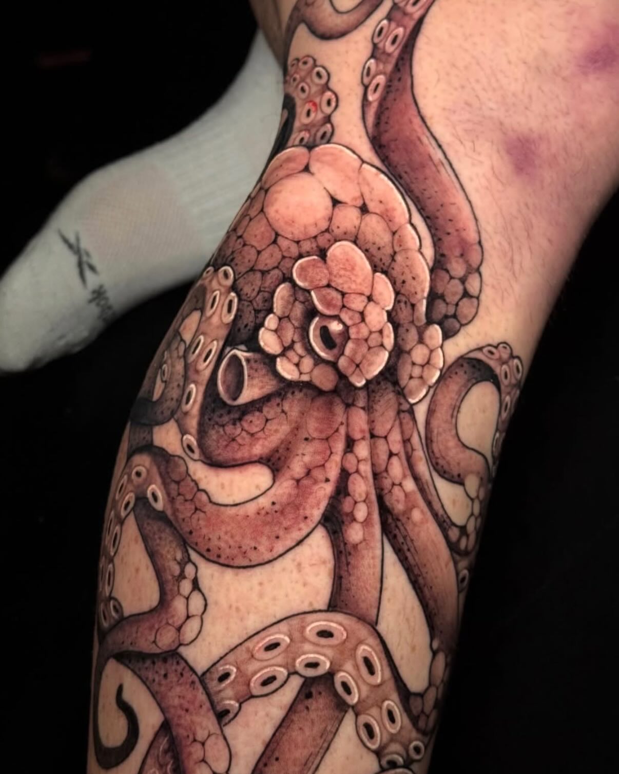 Octopus realism tattoo on the forearm by Andreanna Rosemarie Gabranidis, Pennsauken, New Jersey