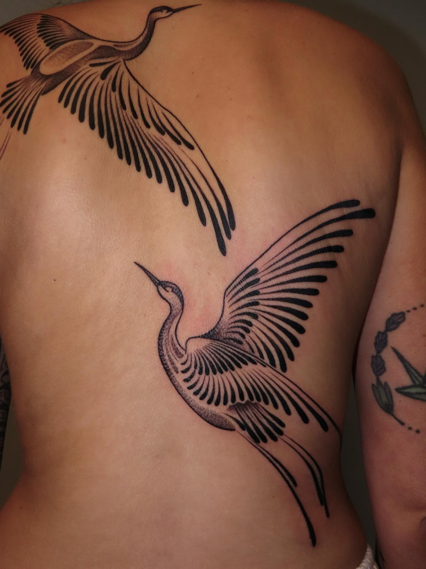 Cranes black and grey tattoo on the back by Avery Mullins