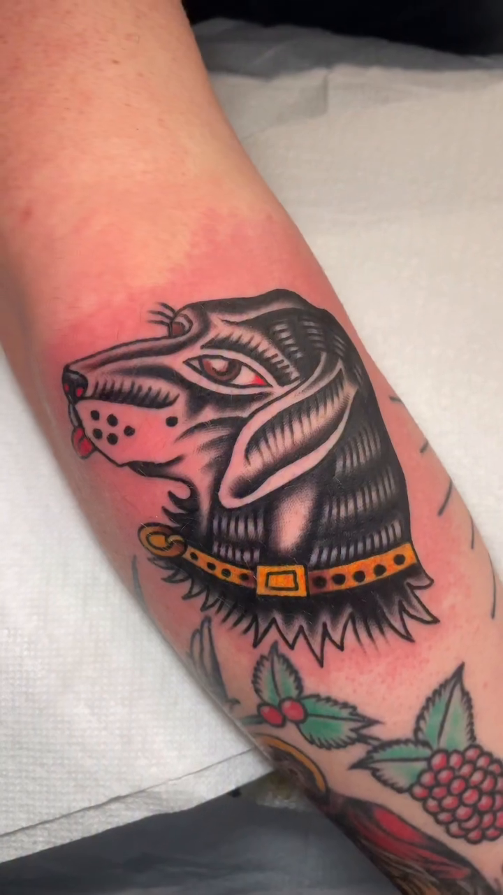 Dog and rose with swallow American traditional tattoo by Brandon Heredia, Vacaville, California