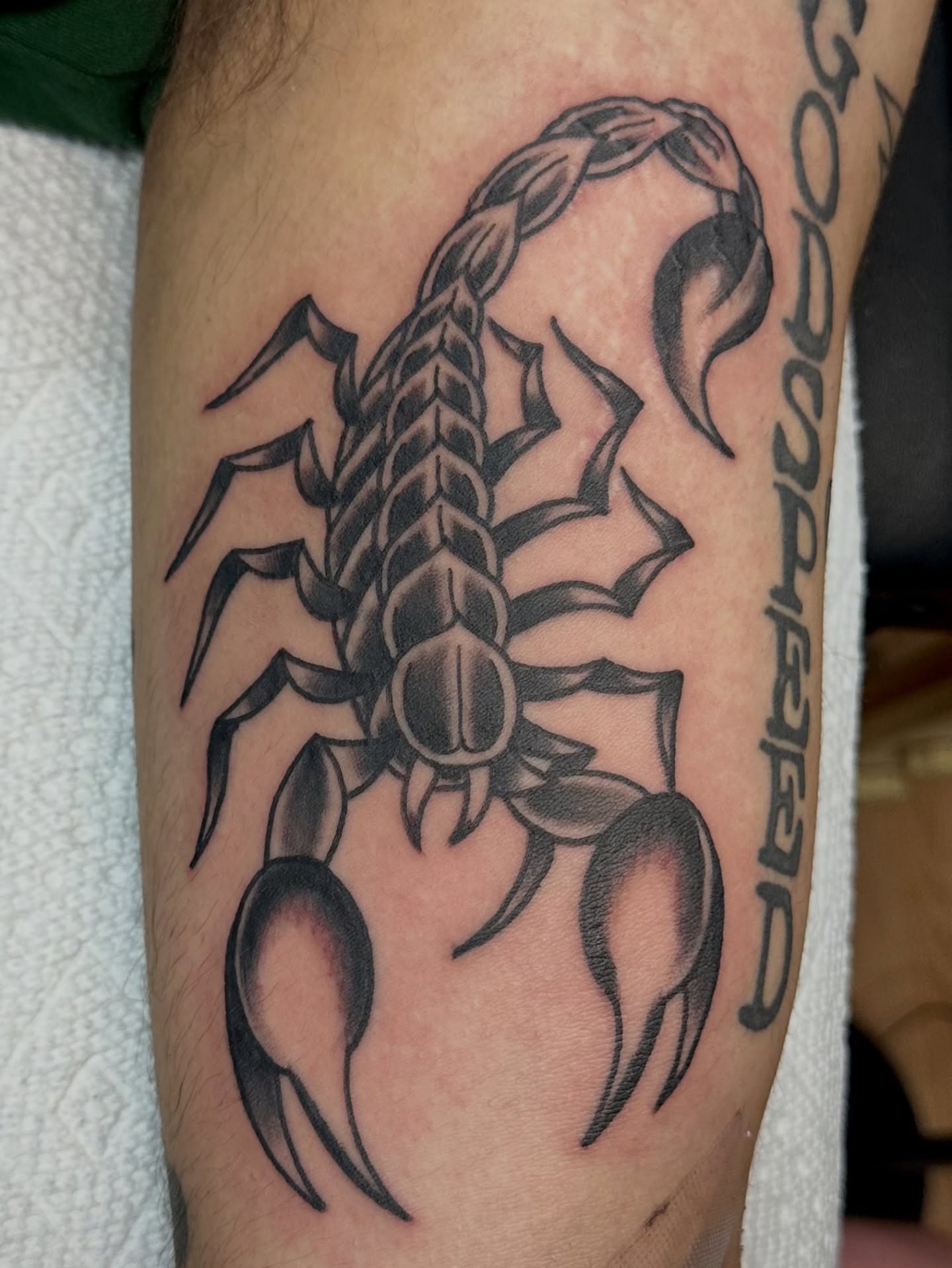 Scorpion black and grey tattoo on the forearm by Josh Robinson