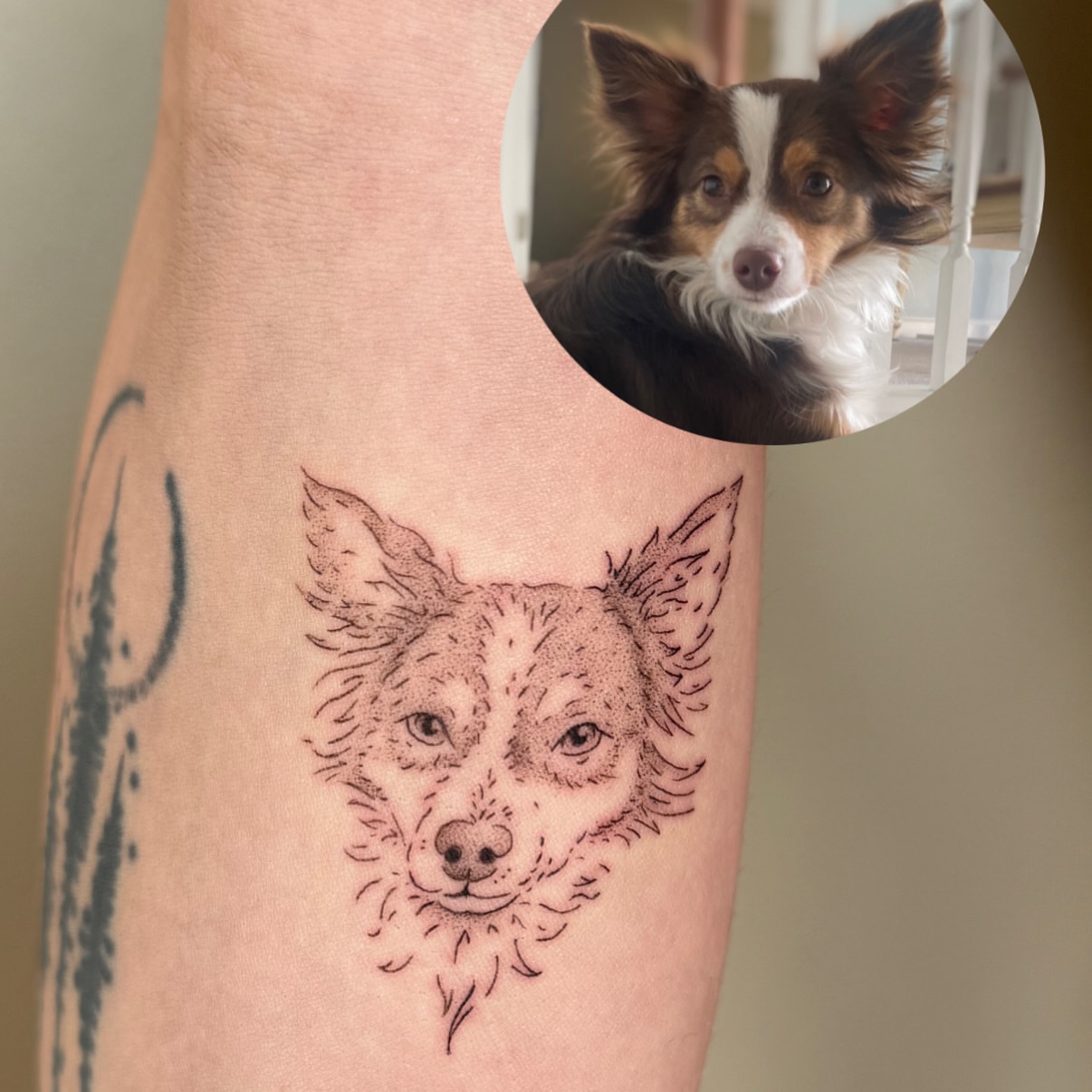 Dog dotwork tattoo on the forearm by Fine Line Tattoos