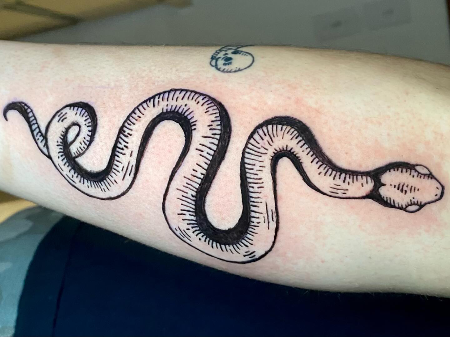 Snake black and grey tattoo on the forearm by Laura🦋