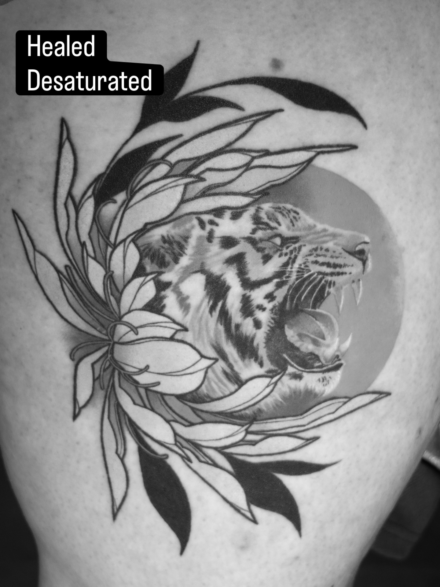 Jaguar and flowers realism tattoo on the shoulder by Tracci King