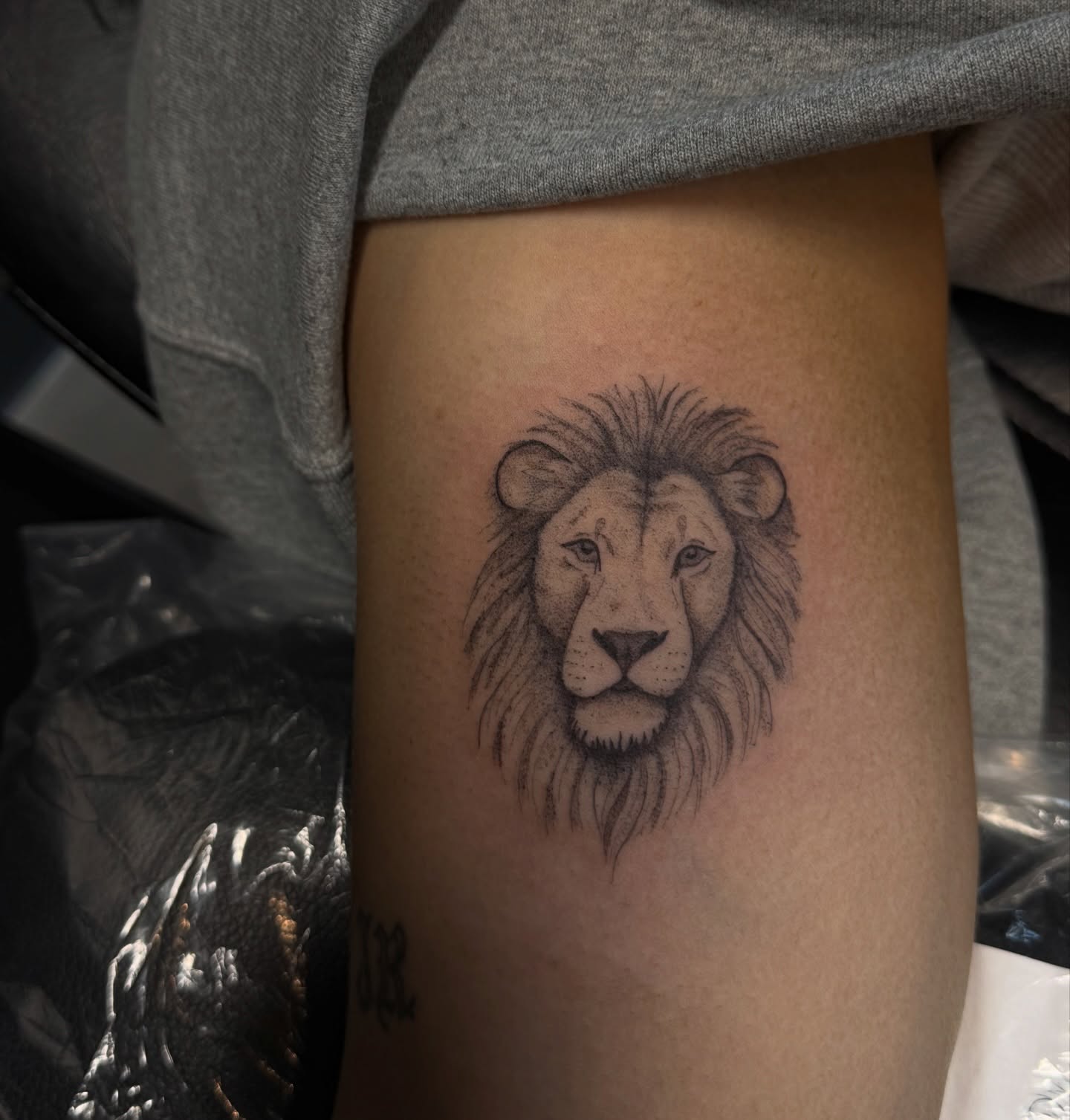 Lion black and grey tattoo on the thigh by Ryleigh Benjamin