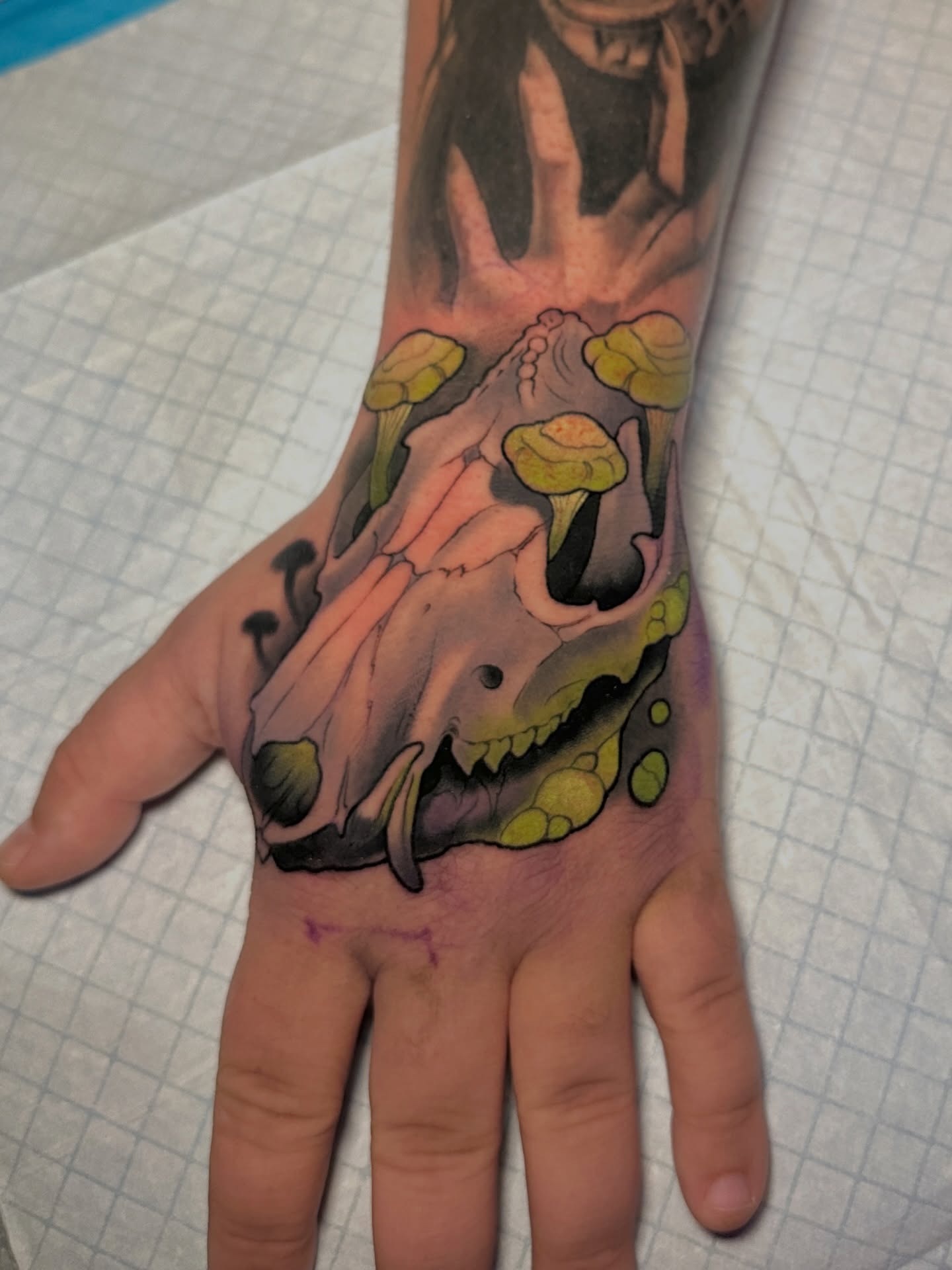 Skull with mushrooms realism tattoo on the hand by Skylar Mangrum