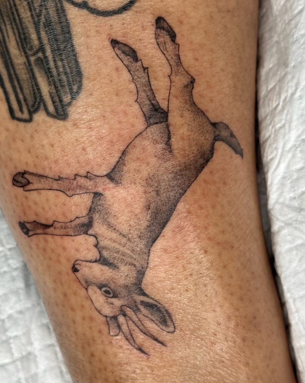 Hare black and grey tattoo on the forearm by Sadie Spades Philly Tattoos