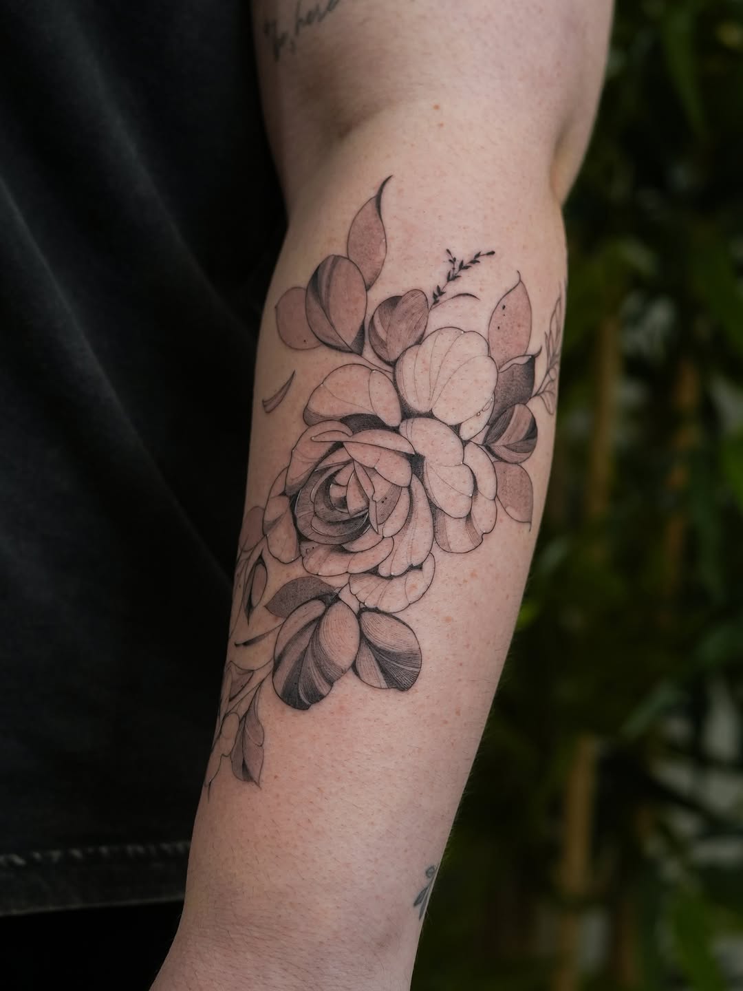 Tattoo by @bassalo.fineline — fine_line, black_and_grey