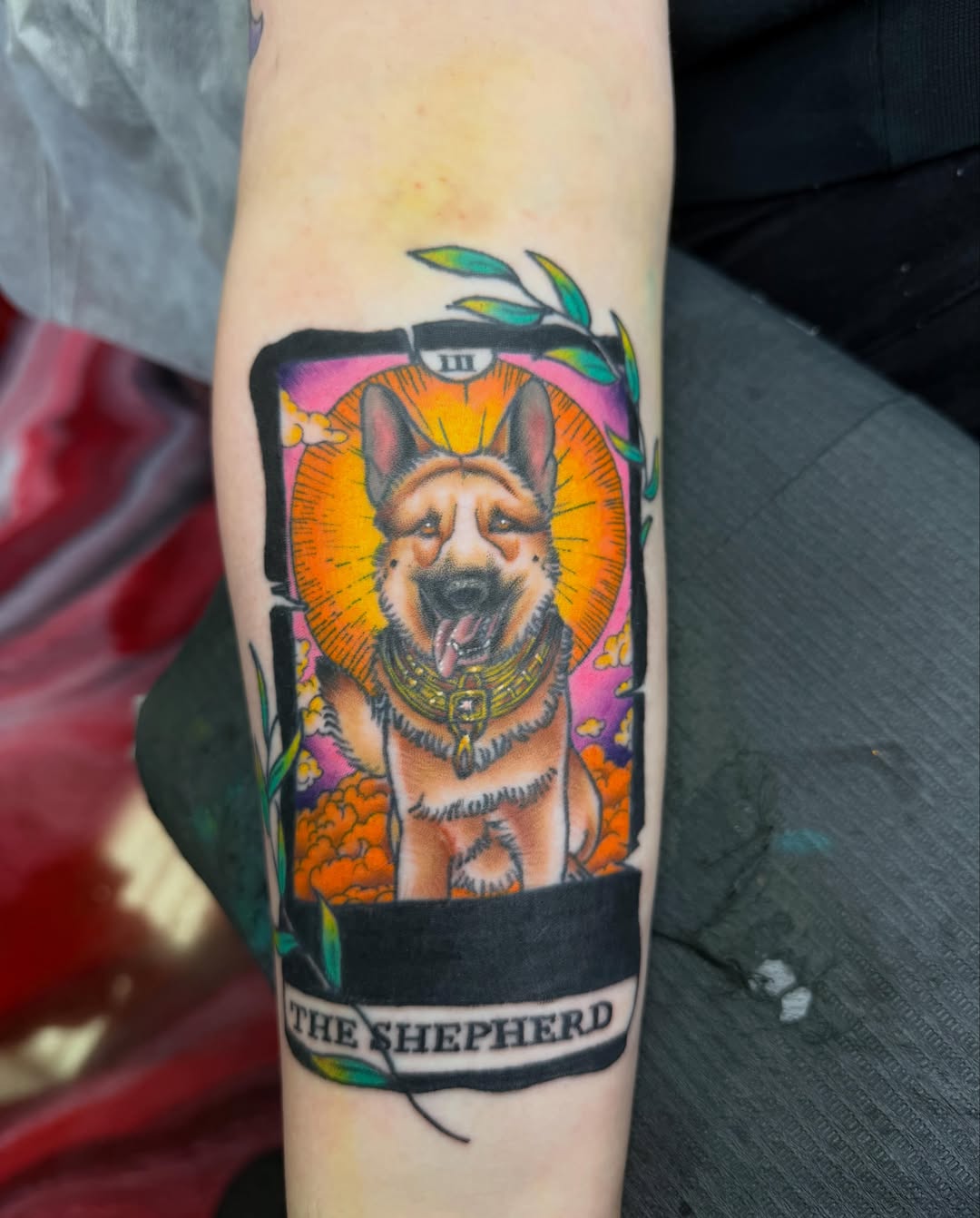German shepherd realism tattoo on the forearm by Shelby Warren