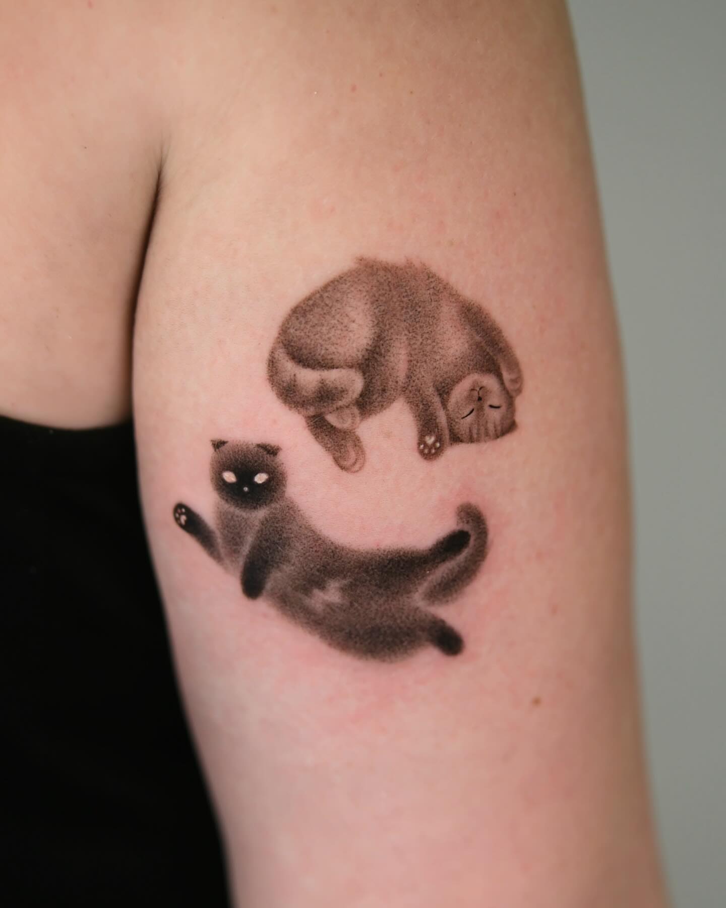 Tattoo by @toki.tattoos — dotwork, realism