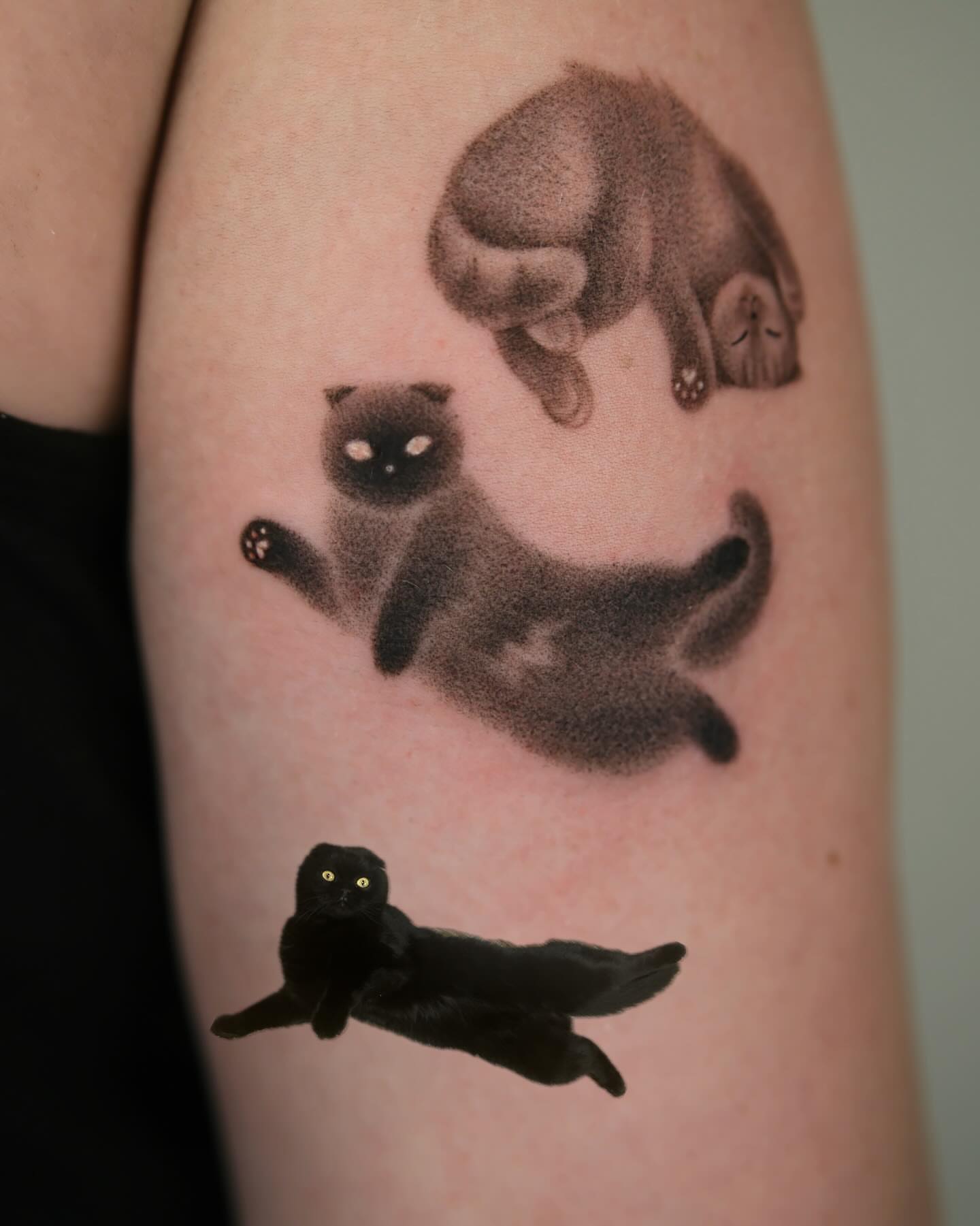 Tattoo by @toki.tattoos — black_and_grey, realism
