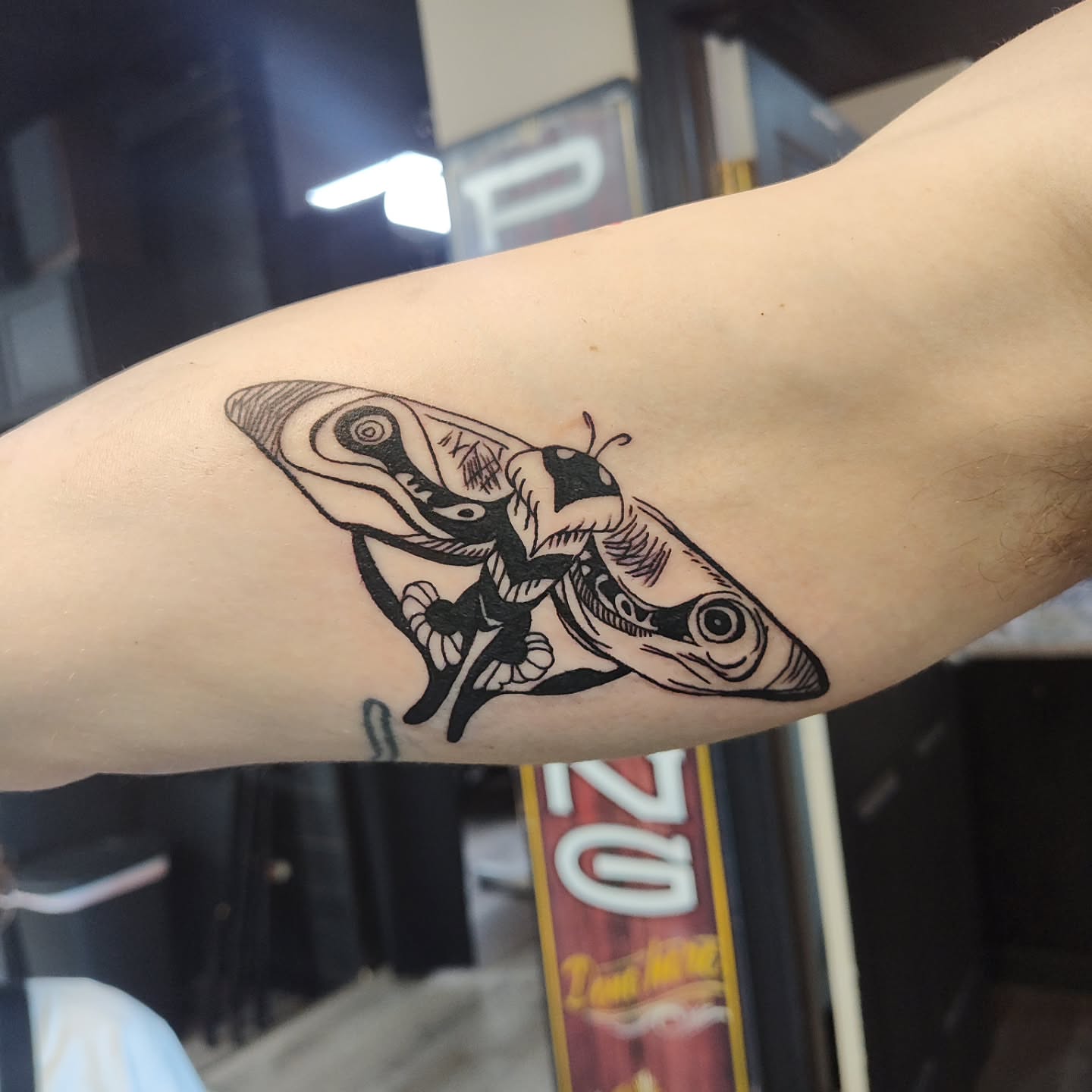 Moth black and grey tattoo on the forearm by Mercury