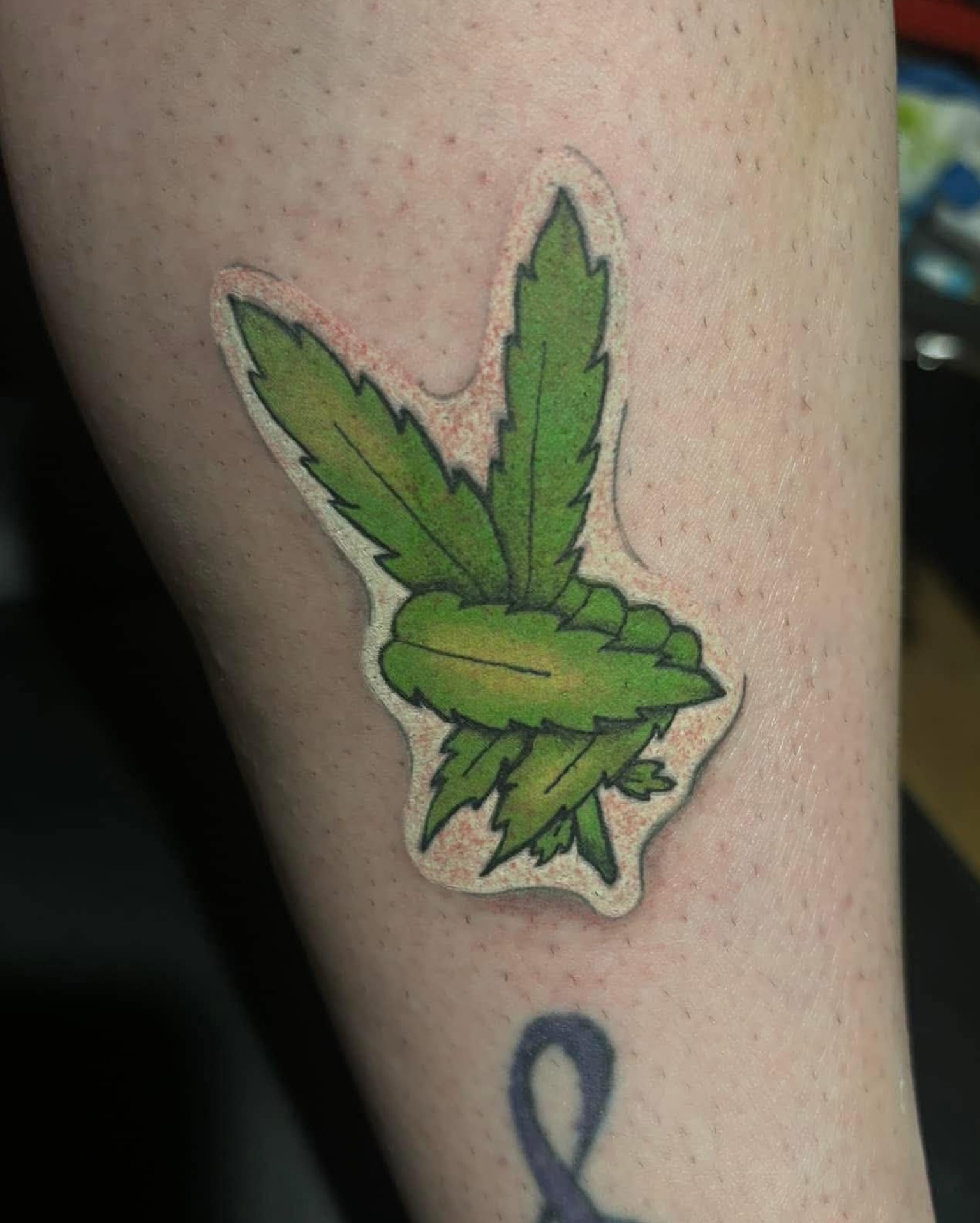 Tattoo by @tattoos_by_trav — american_traditional