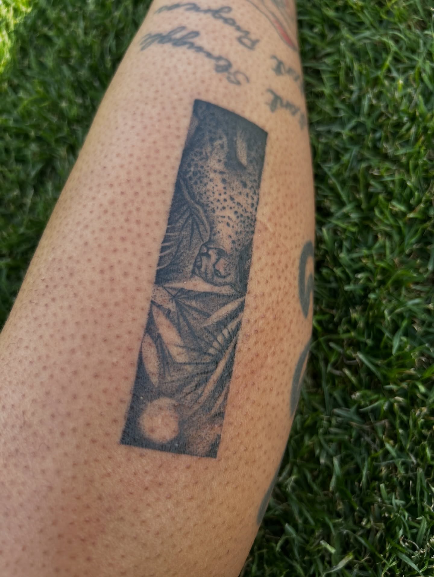 Abstract design dotwork tattoo on the forearm by Porshamonie' THE Tattoo ARTIST